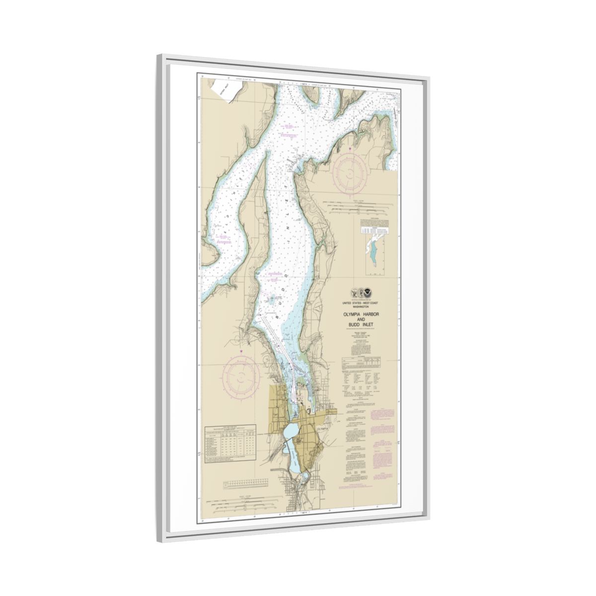Chart 18456 Olympia Harbor and Budd Inlet - NOAA Nautical Chart Floating Frame Canvas | 20" x 30" | 24" x 36" | 32" x 48" - White side