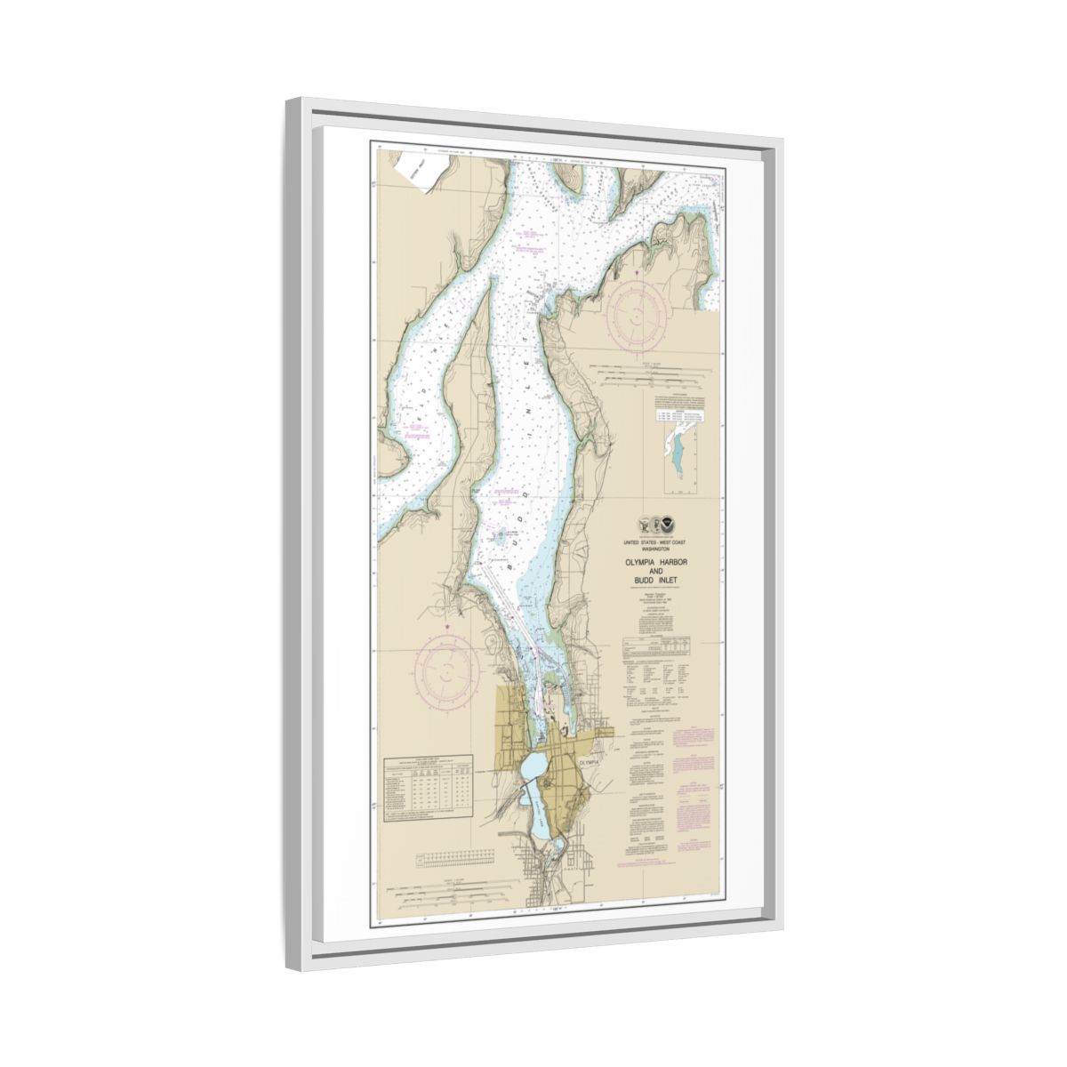 Chart 18456 Olympia Harbor and Budd Inlet - NOAA Nautical Chart Floating Frame Canvas | 20" x 30" | 24" x 36" | 32" x 48" - White side