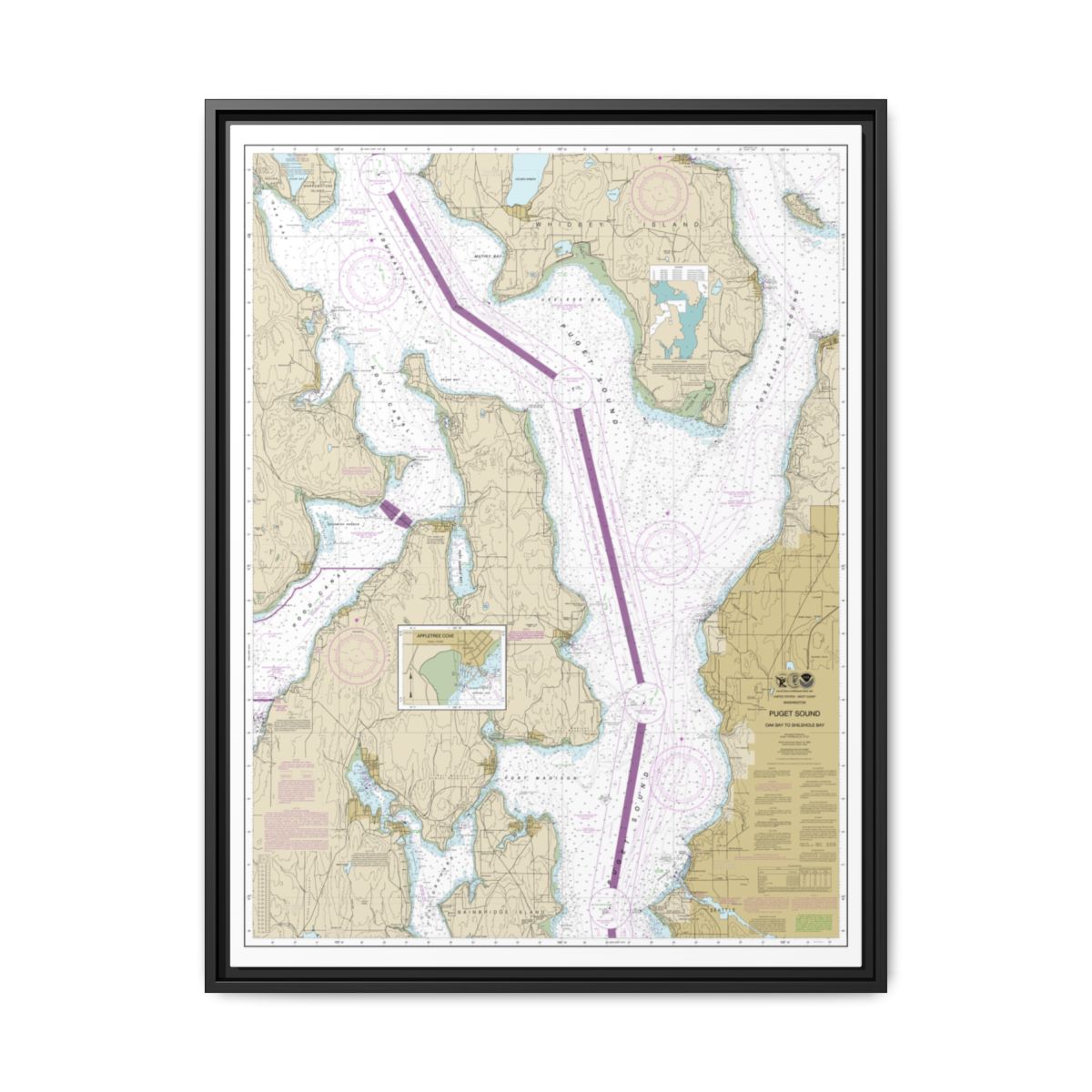 Chart 18473 Puget Sound-Oak Bay to Shilshole Bay - NOAA Nautical Chart Floating Frame Canvas | 24" x 32" | 30" x 40" - Black front