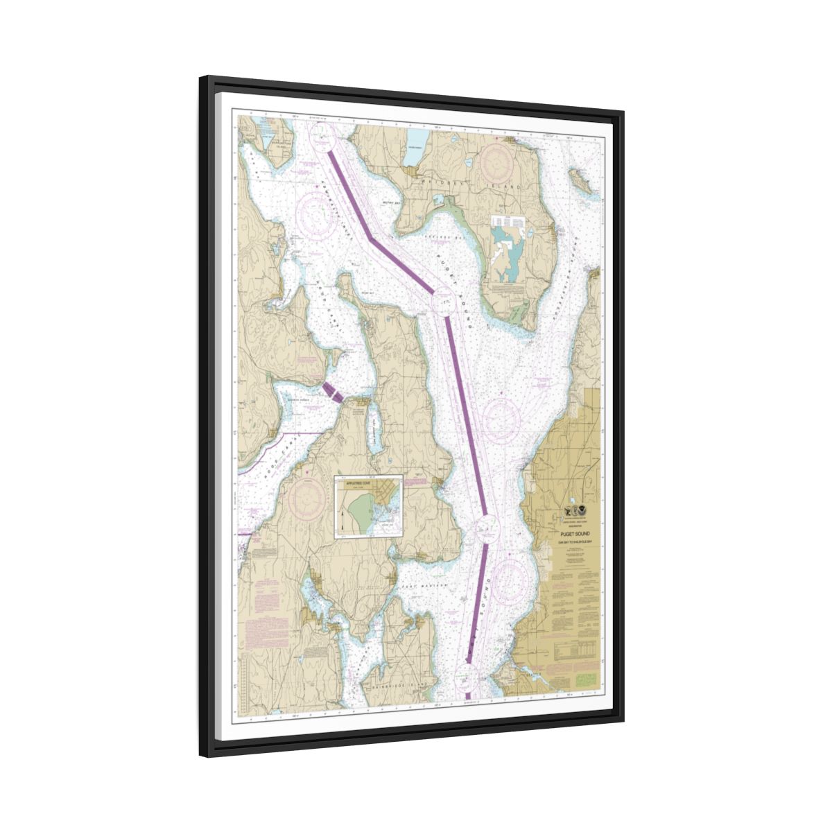Chart 18473 Puget Sound-Oak Bay to Shilshole Bay - NOAA Nautical Chart Floating Frame Canvas | 24" x 32" | 30" x 40" - Black side