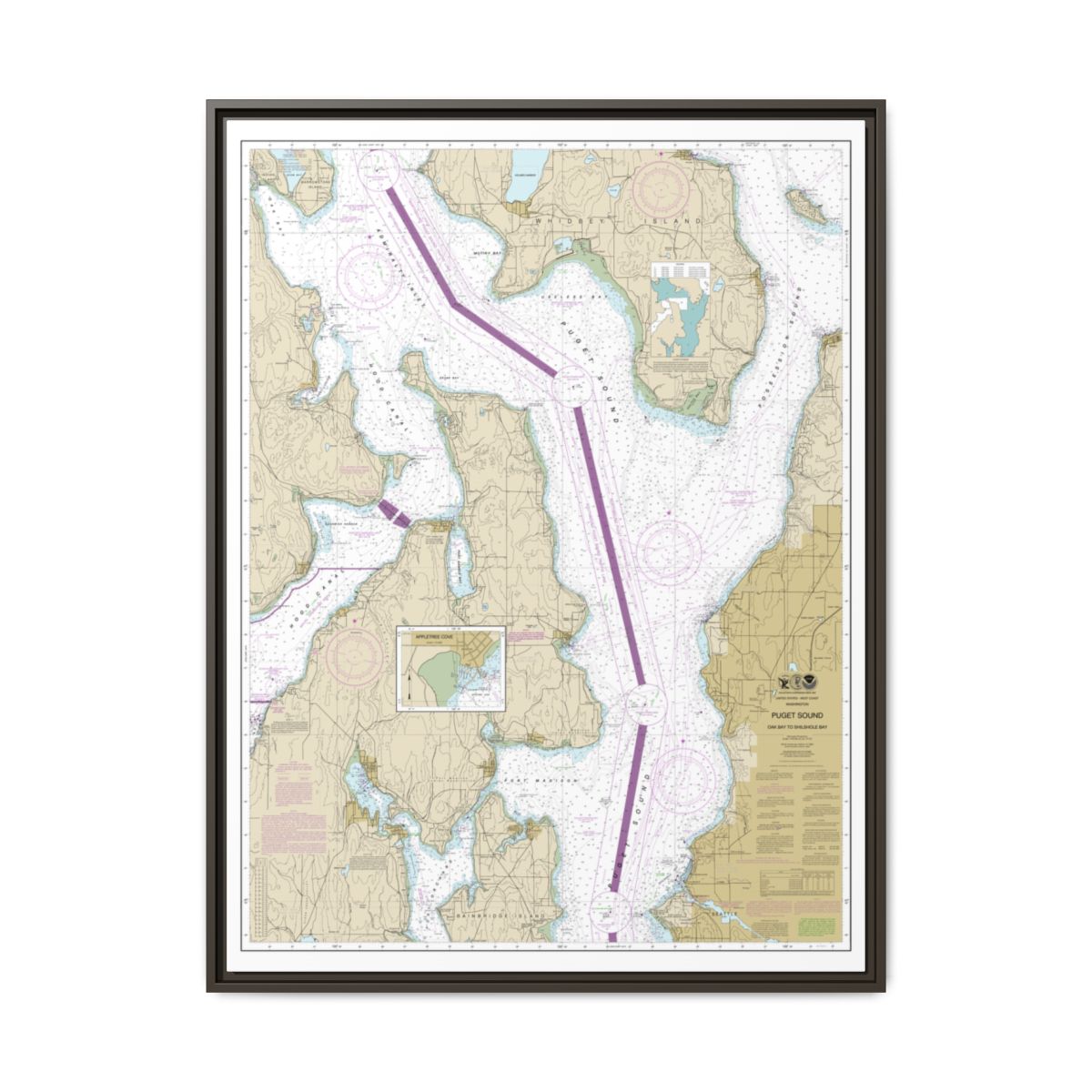Chart 18473 Puget Sound-Oak Bay to Shilshole Bay - NOAA Nautical Chart Floating Frame Canvas | 24" x 32" | 30" x 40" - Espresso front