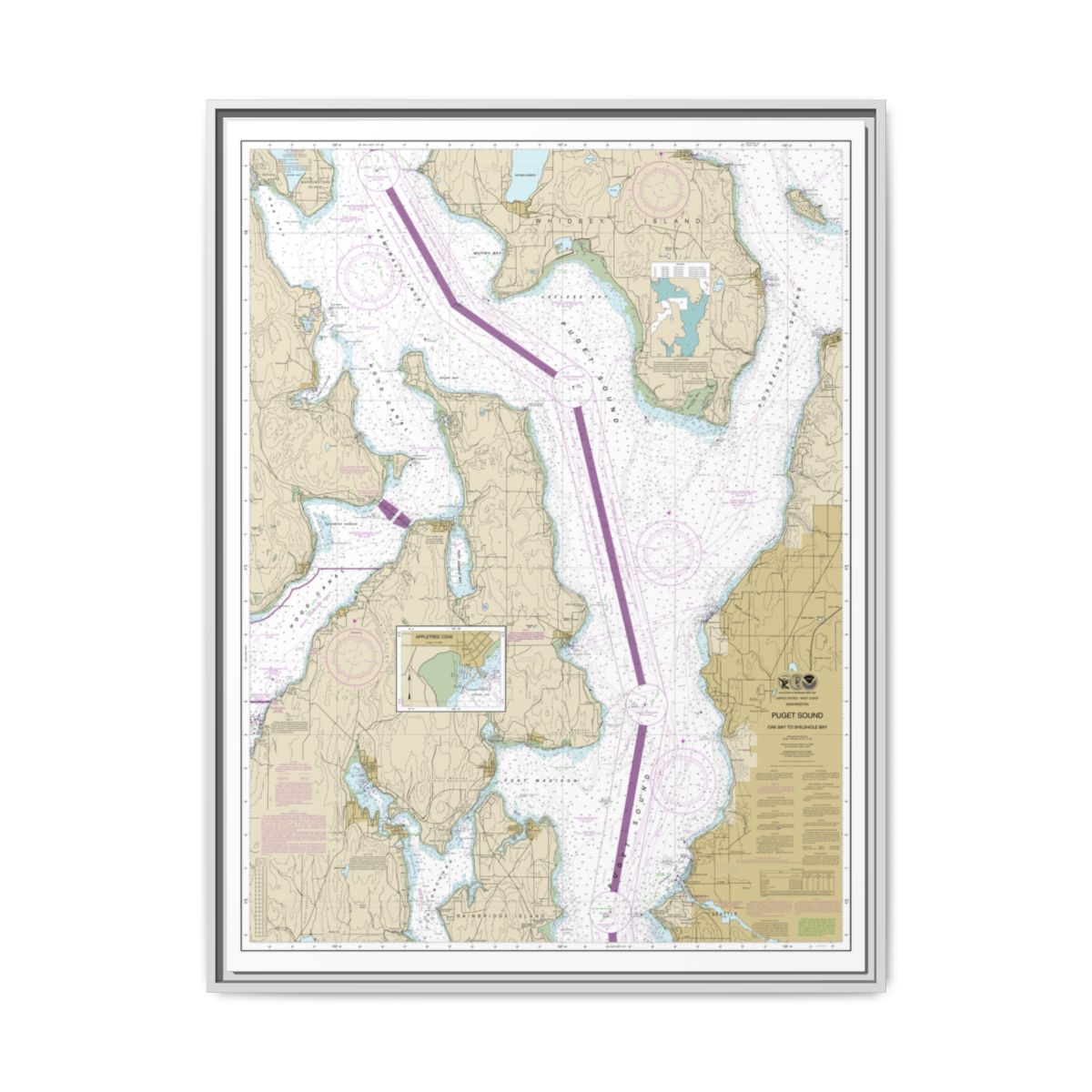 Chart 18473 Puget Sound-Oak Bay to Shilshole Bay - NOAA Nautical Chart Floating Frame Canvas | 24" x 32" | 30" x 40" - White front