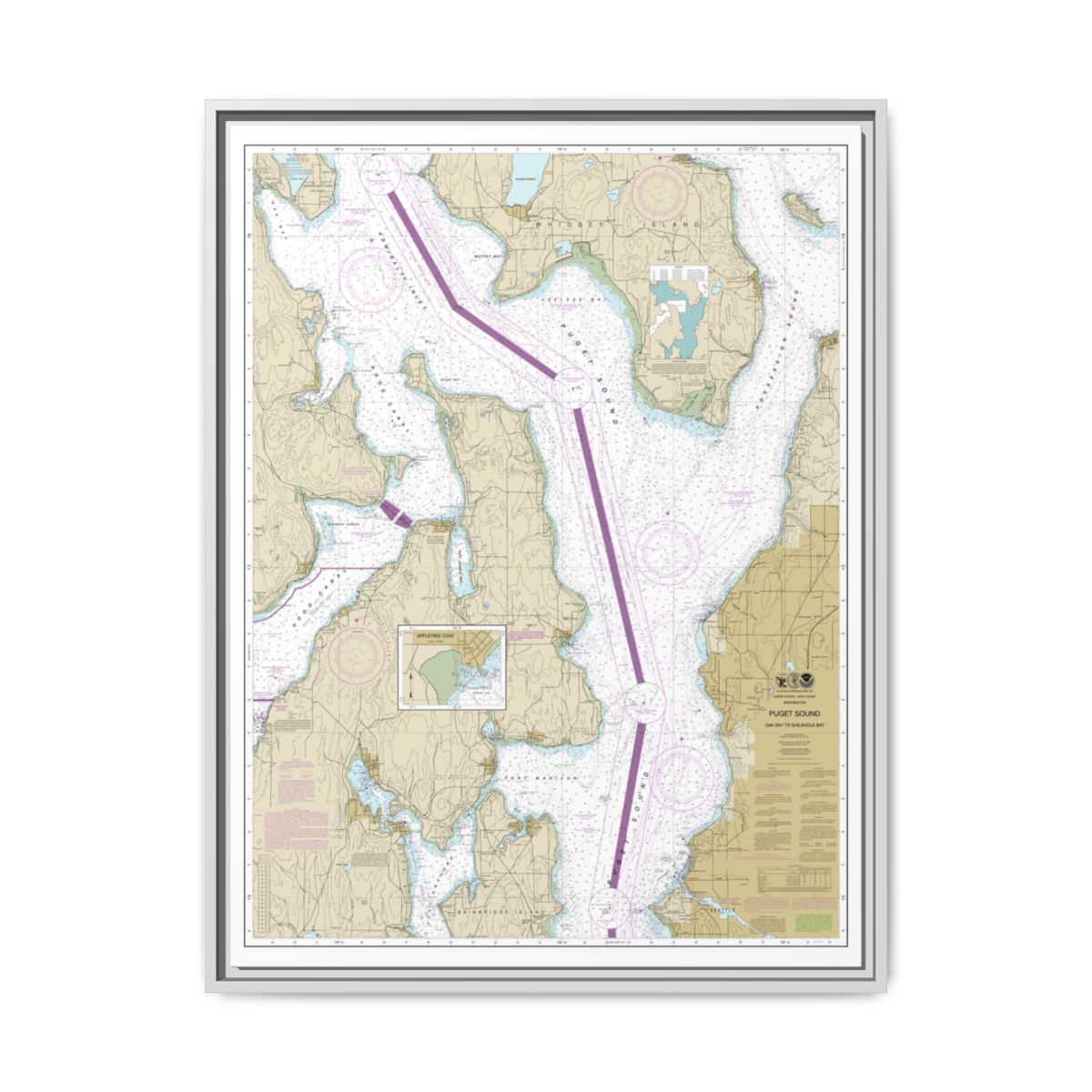 Chart 18473 Puget Sound-Oak Bay to Shilshole Bay - NOAA Nautical Chart Floating Frame Canvas | 24" x 32" | 30" x 40" - White front