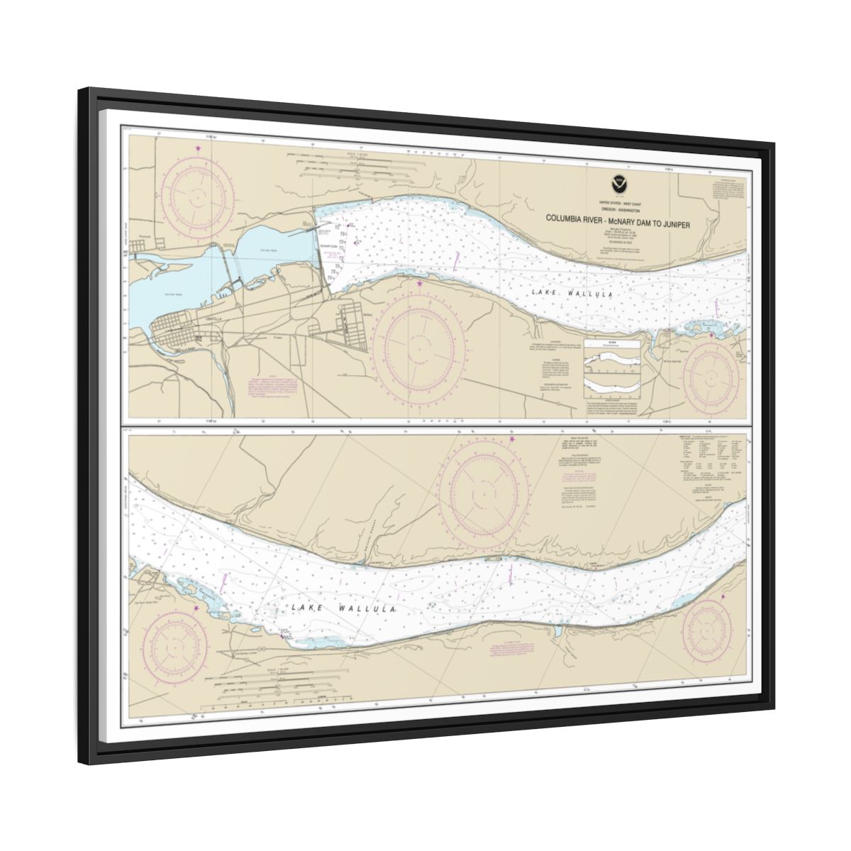 Chart 18541 Columbia River-McNary Dam to Juniper - NOAA Nautical Chart Floating Frame Canvas | 32" x 24" | 40" x 30" - Black side