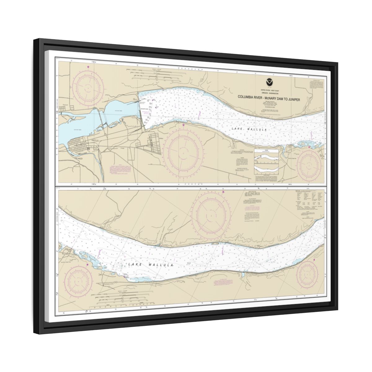 Chart 18541 Columbia River-McNary Dam to Juniper - NOAA Nautical Chart Floating Frame Canvas | 32" x 24" | 40" x 30" - Black side
