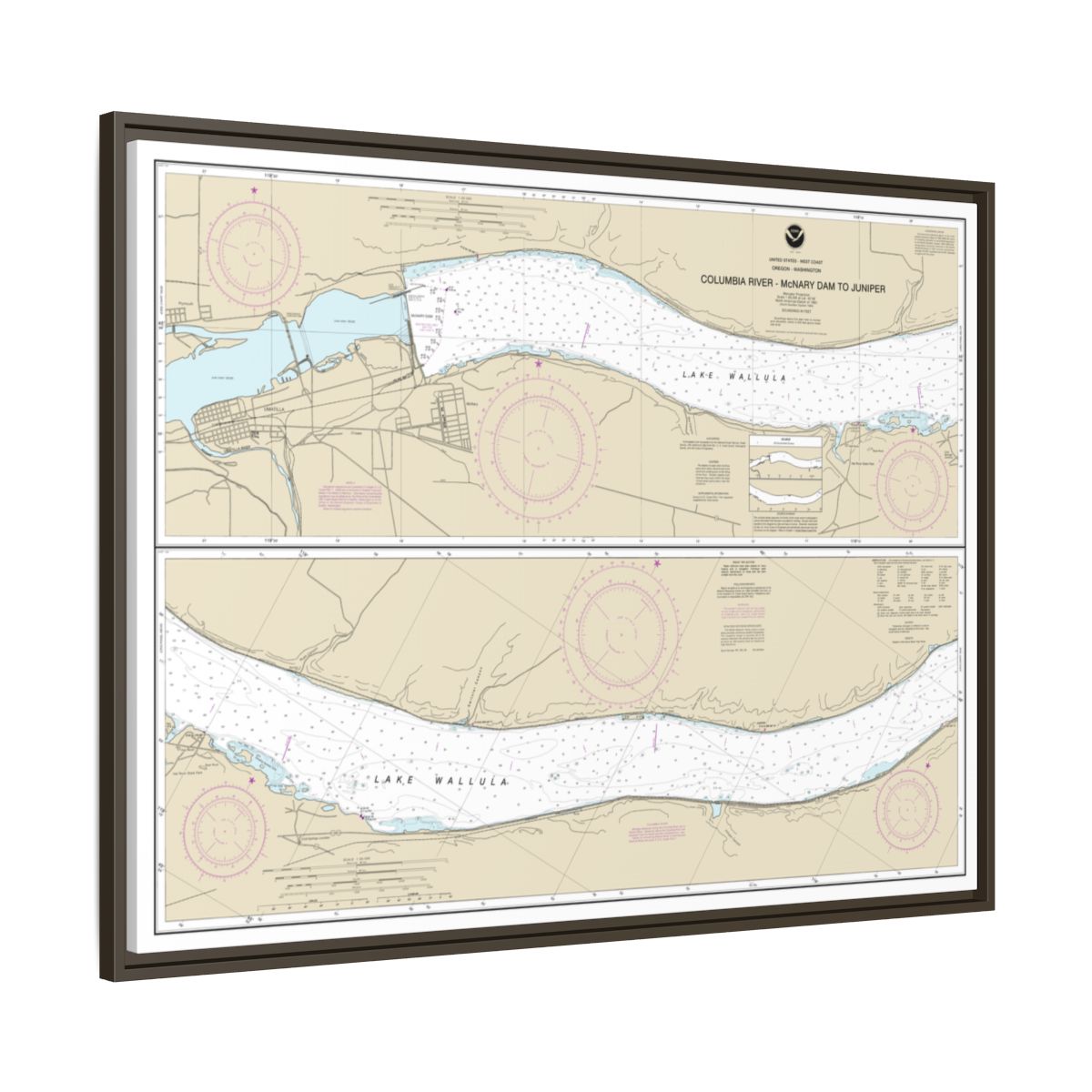 Chart 18541 Columbia River-McNary Dam to Juniper - NOAA Nautical Chart Floating Frame Canvas | 32" x 24" | 40" x 30" - Espresso side