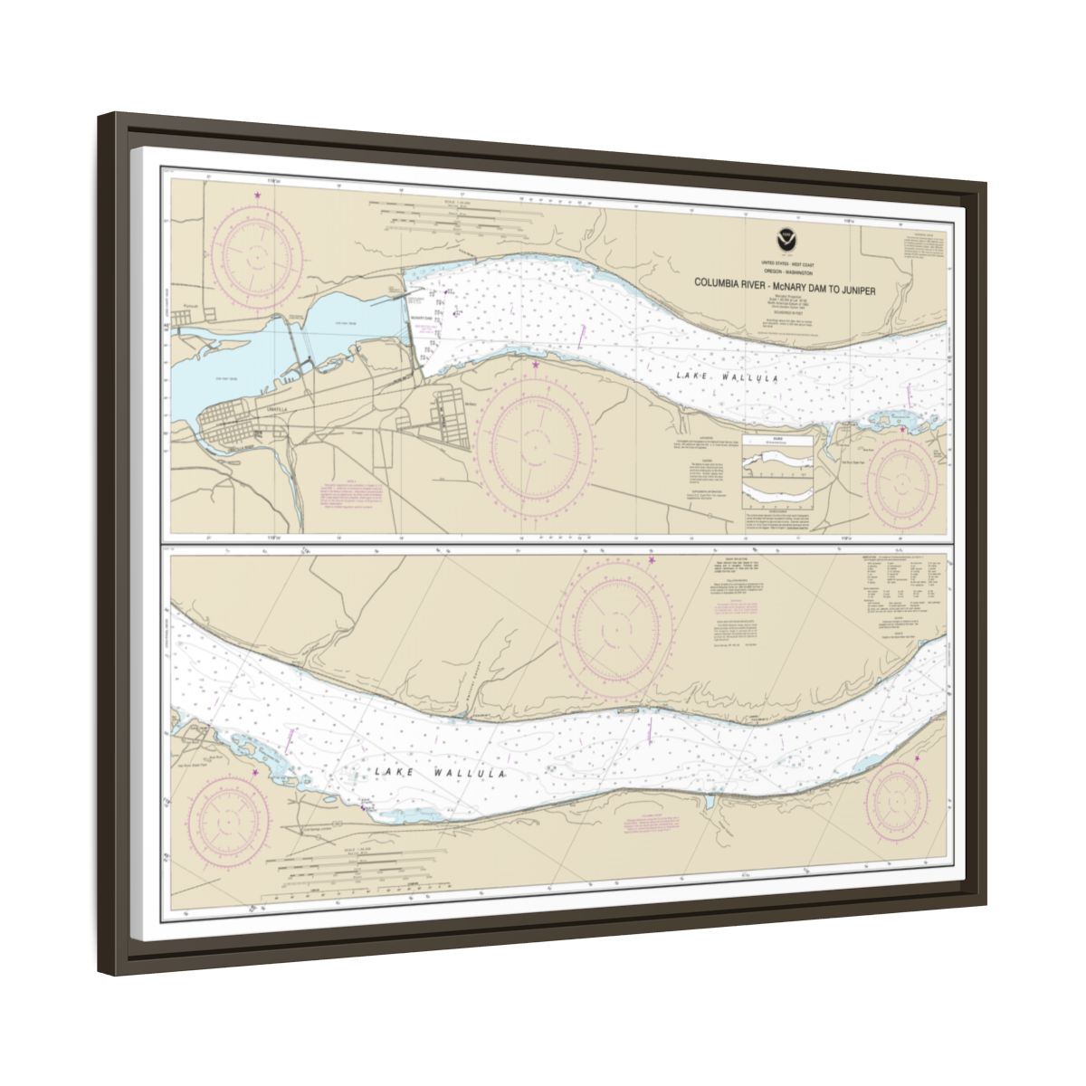 Chart 18541 Columbia River-McNary Dam to Juniper - NOAA Nautical Chart Floating Frame Canvas | 32" x 24" | 40" x 30" - Espresso side