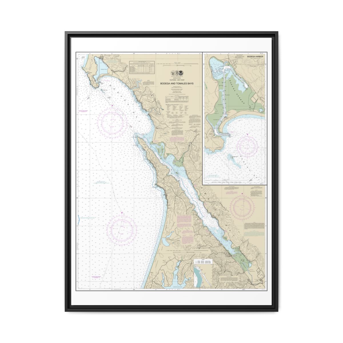 Chart 18643 Bodega and Tomales Bays;Bodega Harbor - NOAA Nautical Chart Floating Frame Canvas | 24" x 32" | 30" x 40" - Black front