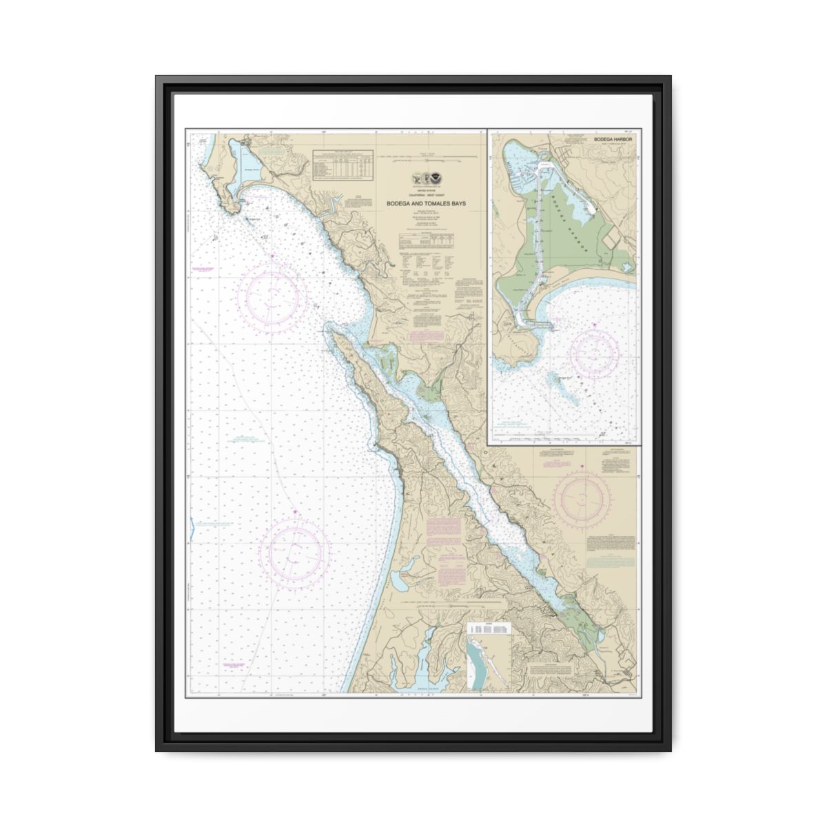 Chart 18643 Bodega and Tomales Bays;Bodega Harbor - NOAA Nautical Chart Floating Frame Canvas | 24" x 32" | 30" x 40" - Black front