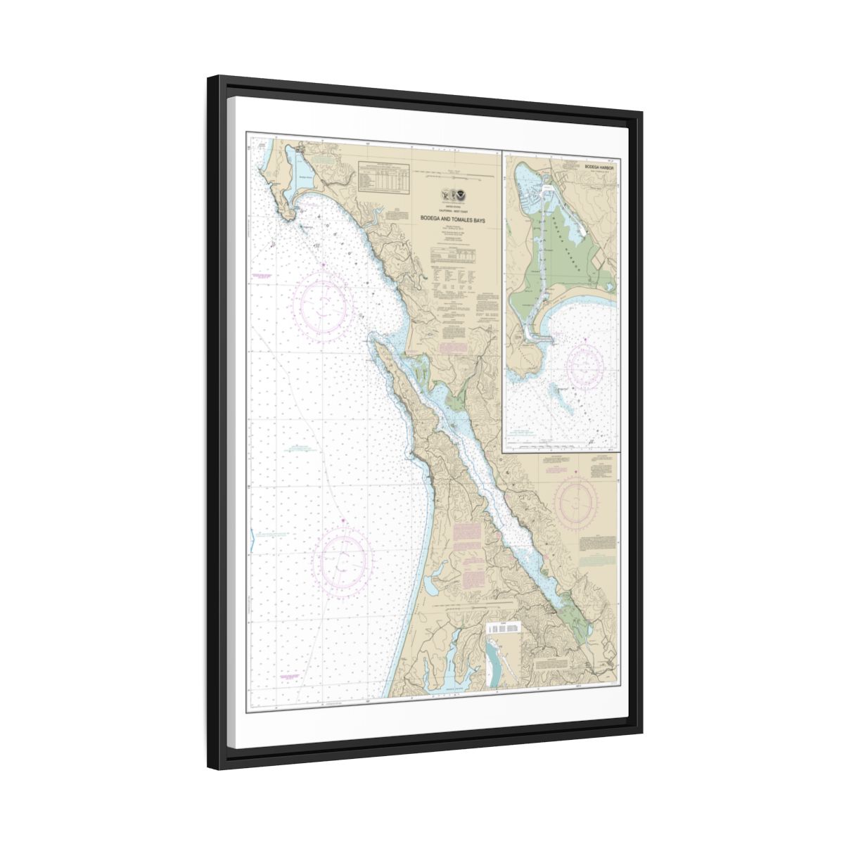 Chart 18643 Bodega and Tomales Bays;Bodega Harbor - NOAA Nautical Chart Floating Frame Canvas | 24" x 32" | 30" x 40" - Black side