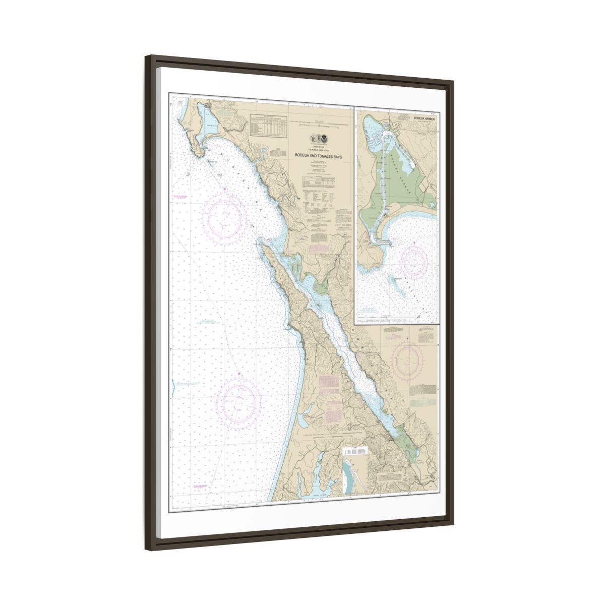 Chart 18643 Bodega and Tomales Bays;Bodega Harbor - NOAA Nautical Chart Floating Frame Canvas | 24" x 32" | 30" x 40" - Espresso side