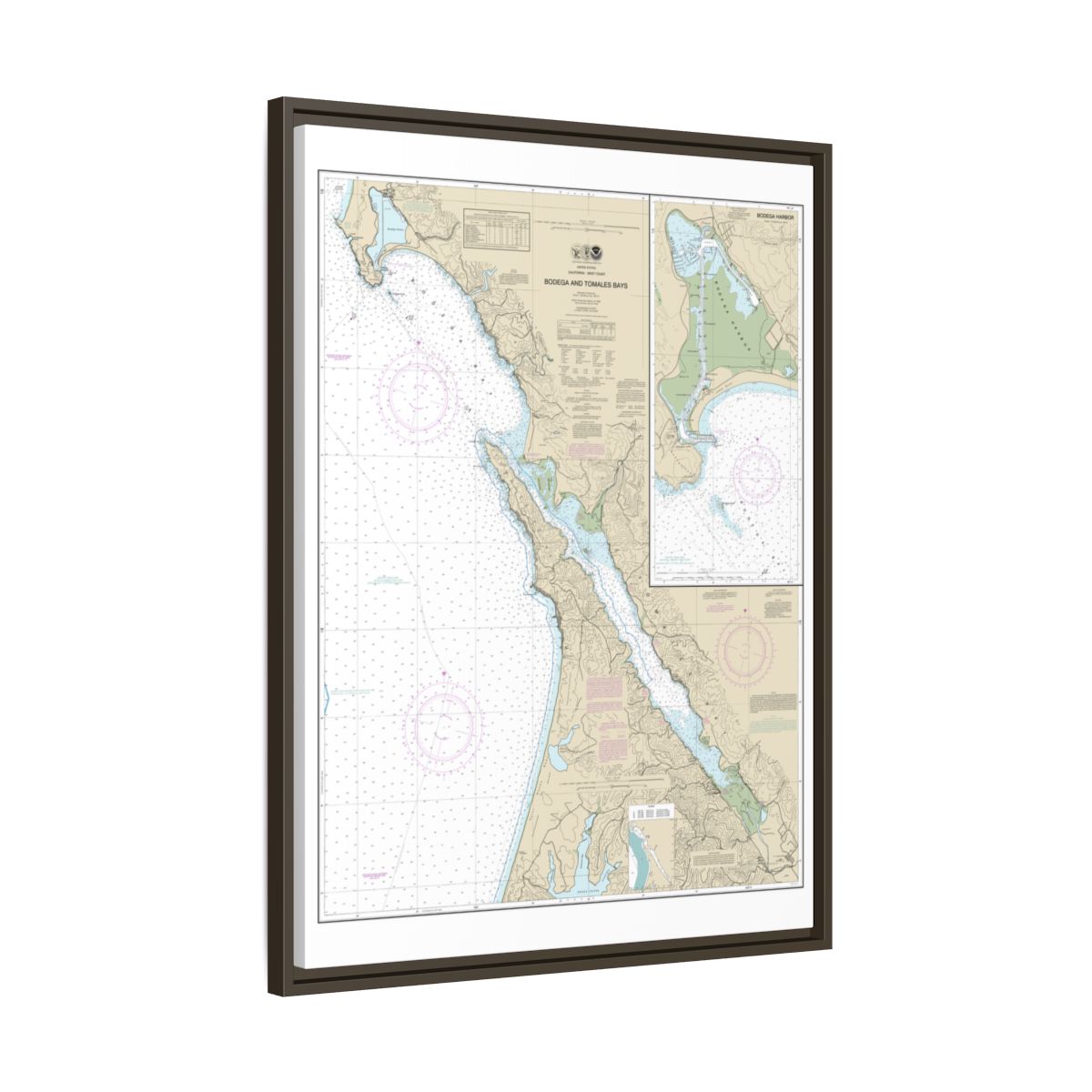 Chart 18643 Bodega and Tomales Bays;Bodega Harbor - NOAA Nautical Chart Floating Frame Canvas | 24" x 32" | 30" x 40" - Espresso side