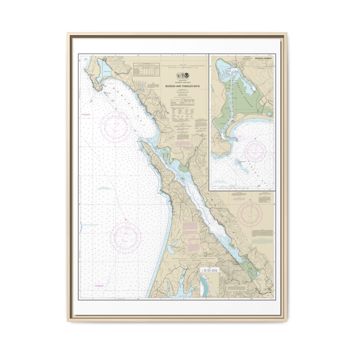 Chart 18643 Bodega and Tomales Bays;Bodega Harbor - NOAA Nautical Chart Floating Frame Canvas | 24" x 32" | 30" x 40" - Natural front