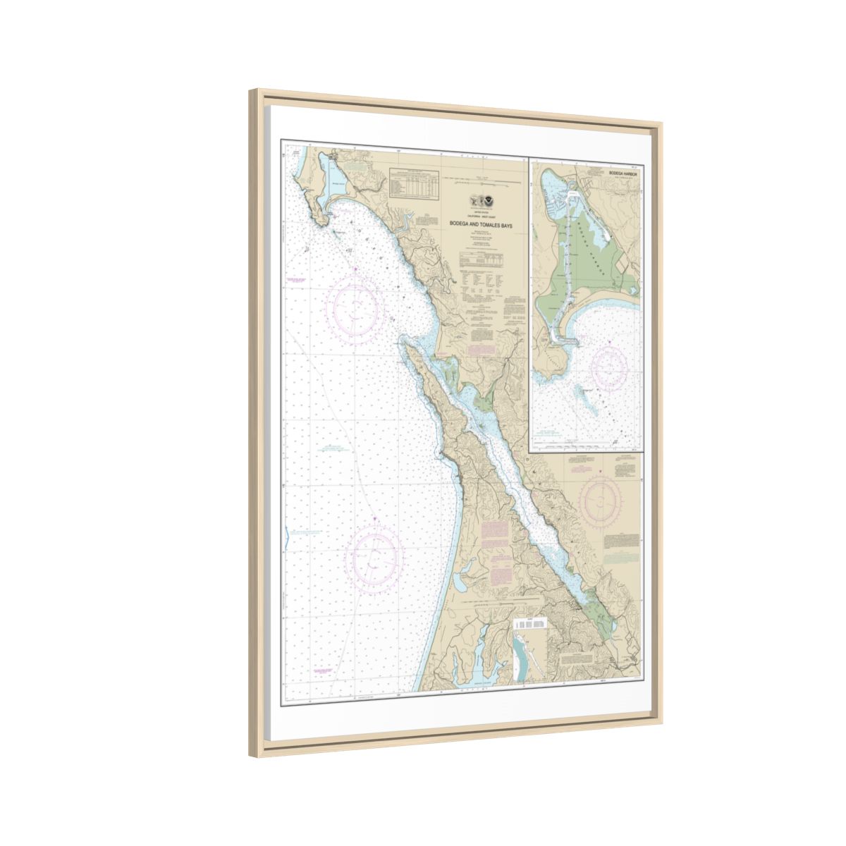 Chart 18643 Bodega and Tomales Bays;Bodega Harbor - NOAA Nautical Chart Floating Frame Canvas | 24" x 32" | 30" x 40" - Natural side