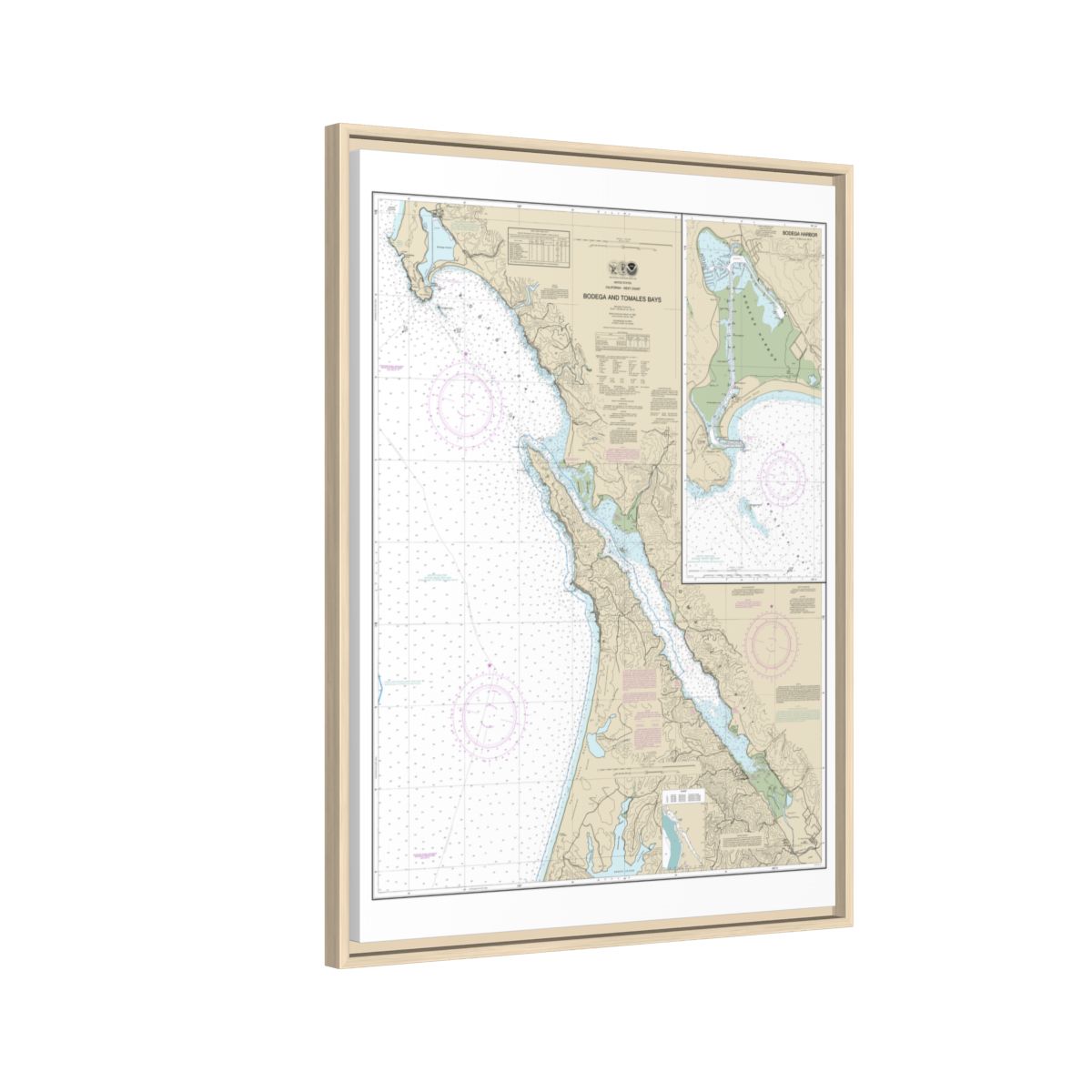 Chart 18643 Bodega and Tomales Bays;Bodega Harbor - NOAA Nautical Chart Floating Frame Canvas | 24" x 32" | 30" x 40" - Natural side