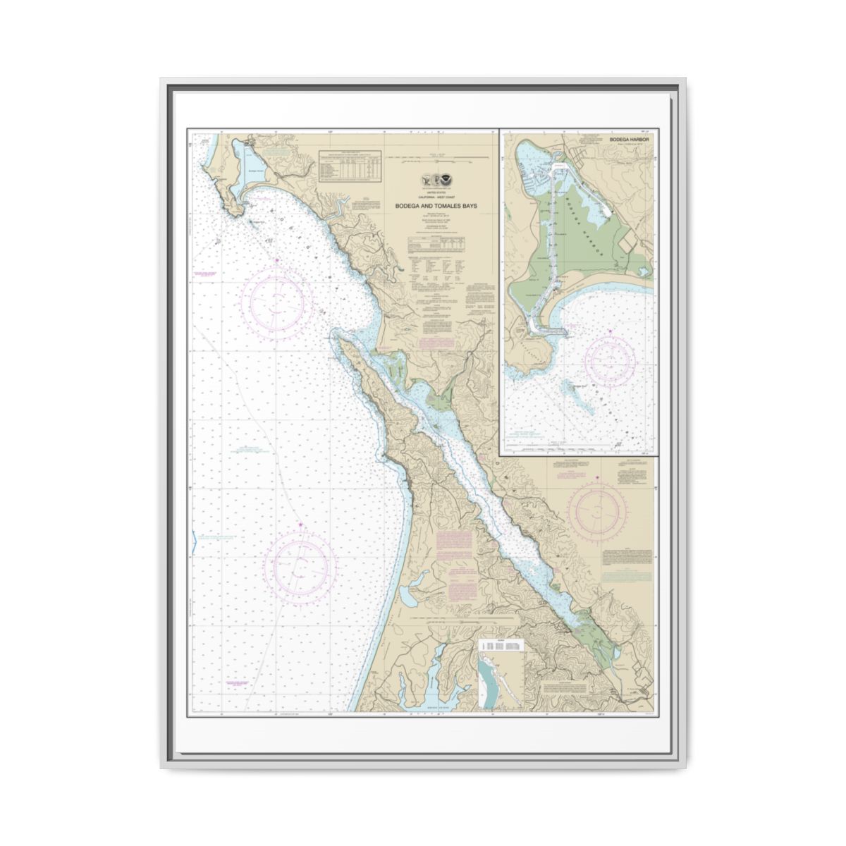 Chart 18643 Bodega and Tomales Bays;Bodega Harbor - NOAA Nautical Chart Floating Frame Canvas | 24" x 32" | 30" x 40" - White front