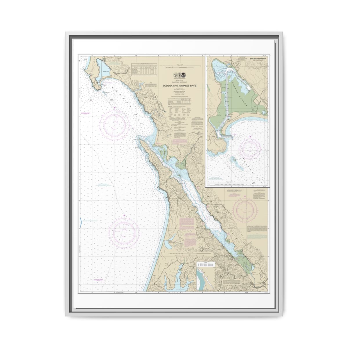 Chart 18643 Bodega and Tomales Bays;Bodega Harbor - NOAA Nautical Chart Floating Frame Canvas | 24" x 32" | 30" x 40" - White front