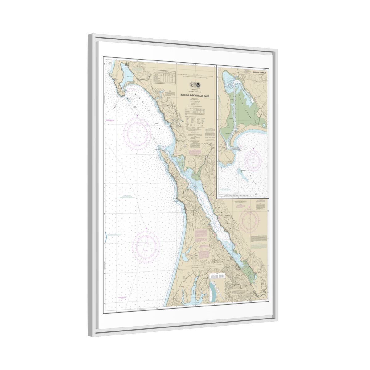 Chart 18643 Bodega and Tomales Bays;Bodega Harbor - NOAA Nautical Chart Floating Frame Canvas | 24" x 32" | 30" x 40" - White side