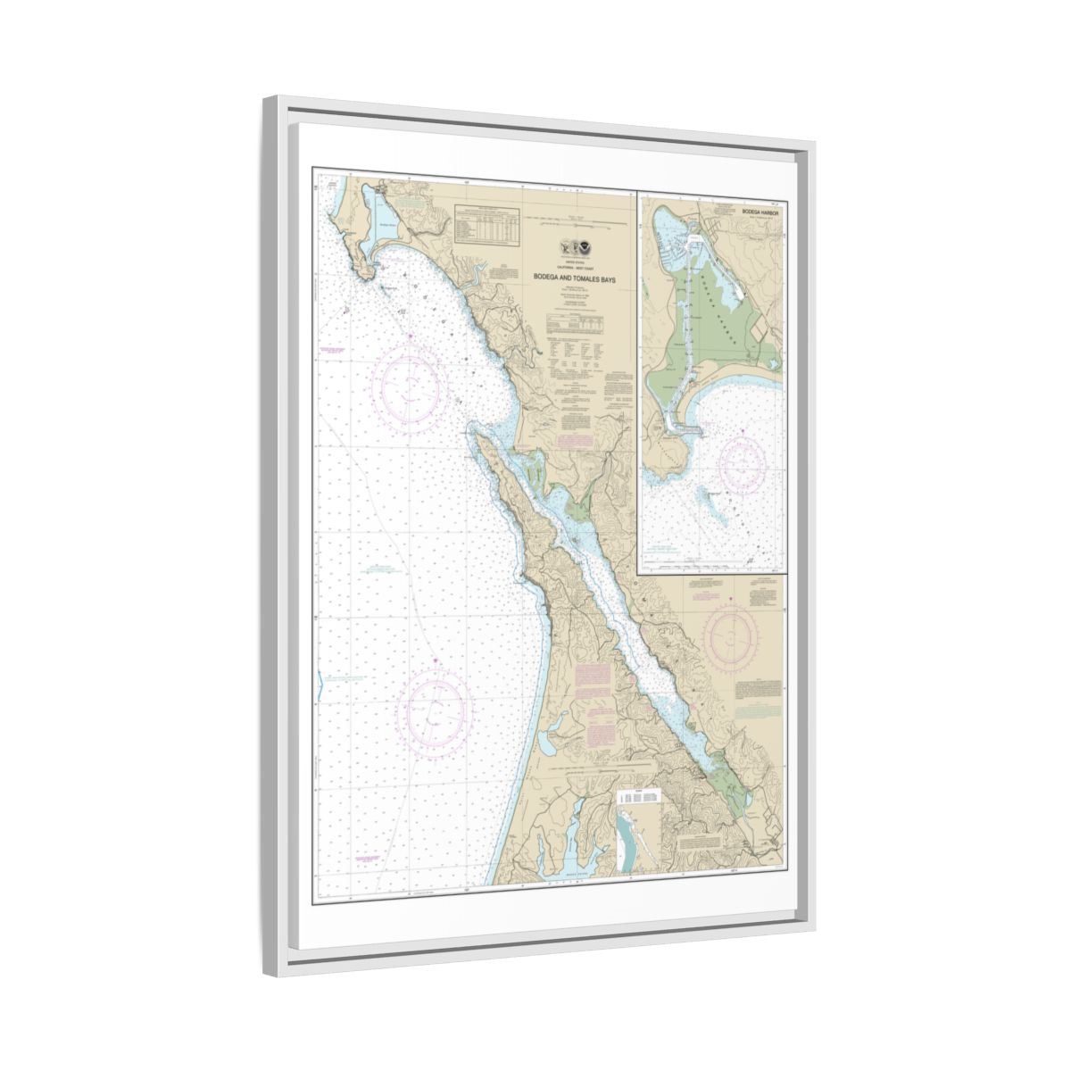 Chart 18643 Bodega and Tomales Bays;Bodega Harbor - NOAA Nautical Chart Floating Frame Canvas | 24" x 32" | 30" x 40" - White side