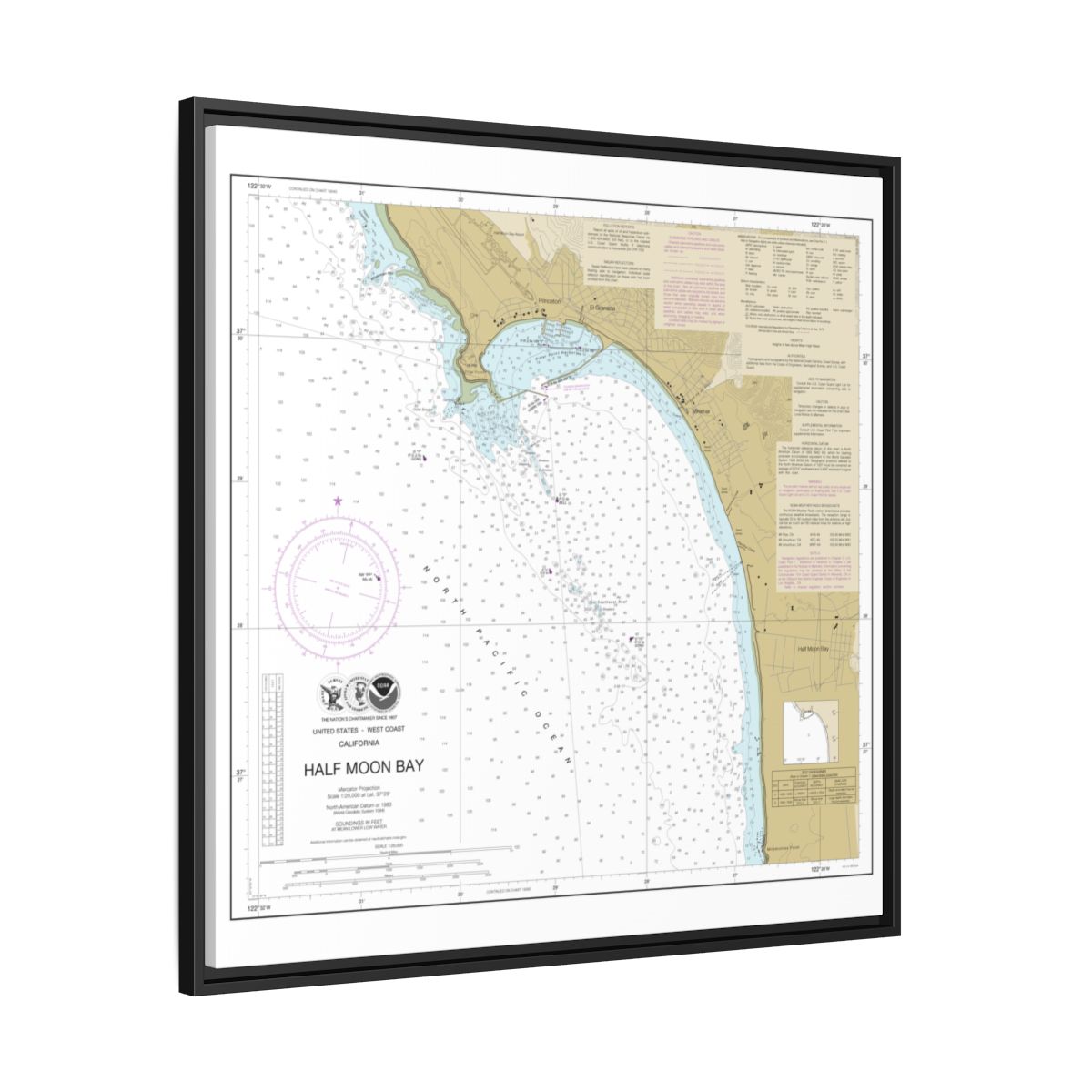 Chart 18682 Half Moon Bay - NOAA Nautical Chart Floating Frame Canvas | 32" x 32" - Black side