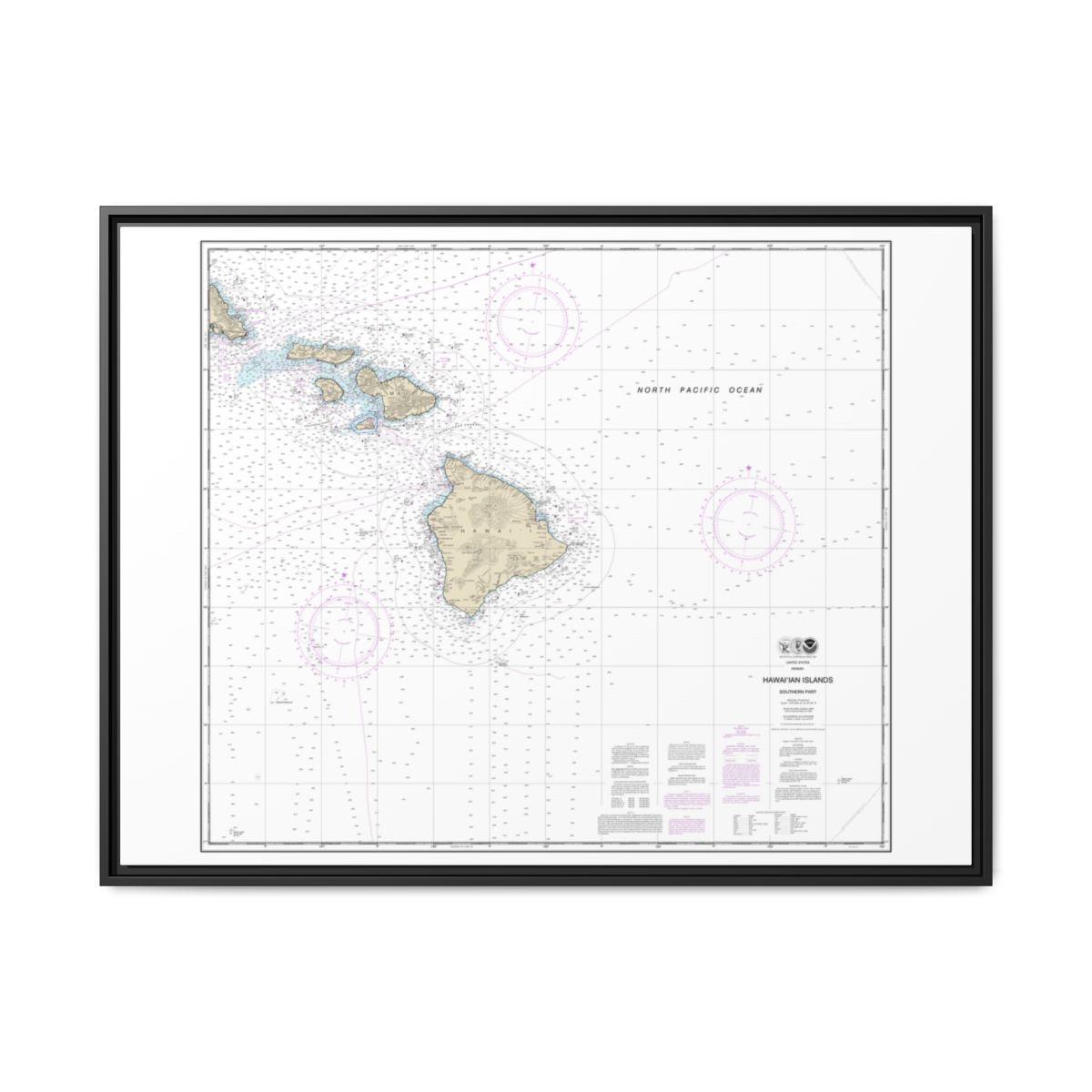 Chart 19010 Hawaiian Islands southern part - NOAA Nautical Chart Floating Frame Canvas | 32" x 24" | 40" x 30" - Black front