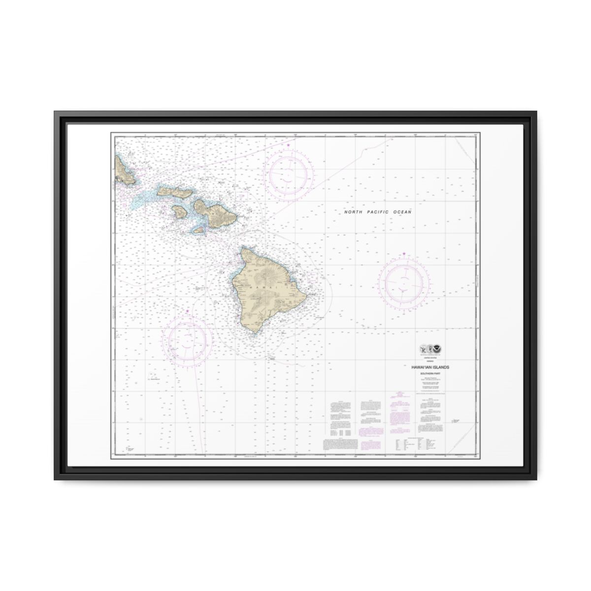 Chart 19010 Hawaiian Islands southern part - NOAA Nautical Chart Floating Frame Canvas | 32" x 24" | 40" x 30" - Black front