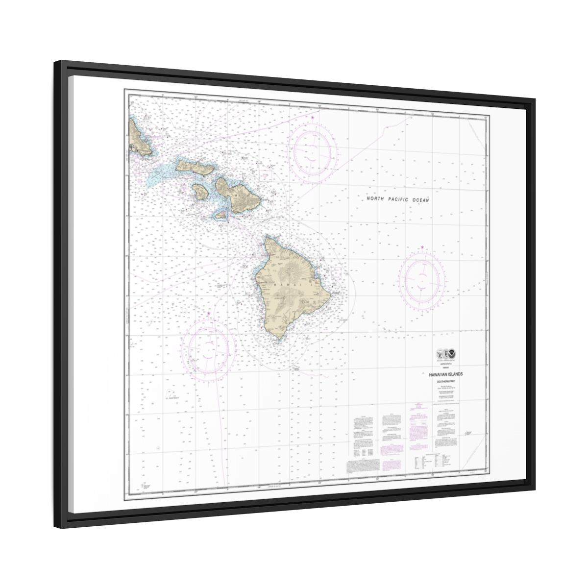 Chart 19010 Hawaiian Islands southern part - NOAA Nautical Chart Floating Frame Canvas | 32" x 24" | 40" x 30" - Black side