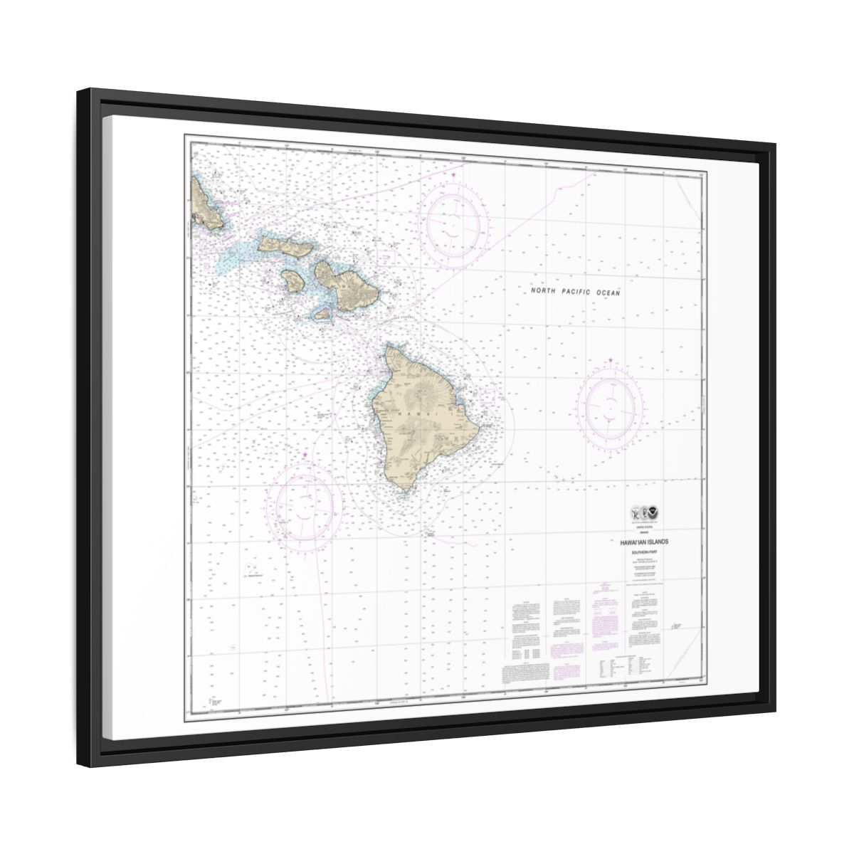 Chart 19010 Hawaiian Islands southern part - NOAA Nautical Chart Floating Frame Canvas | 32" x 24" | 40" x 30" - Black side