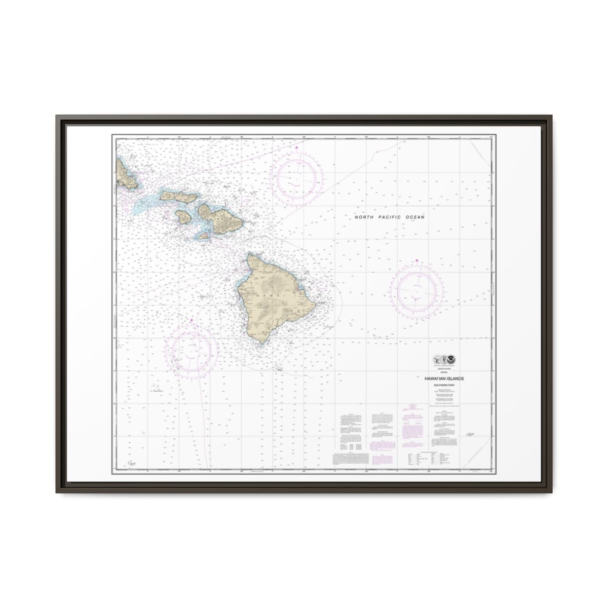 Chart 19010 Hawaiian Islands southern part - NOAA Nautical Chart Floating Frame Canvas | 32" x 24" | 40" x 30" - Espresso front