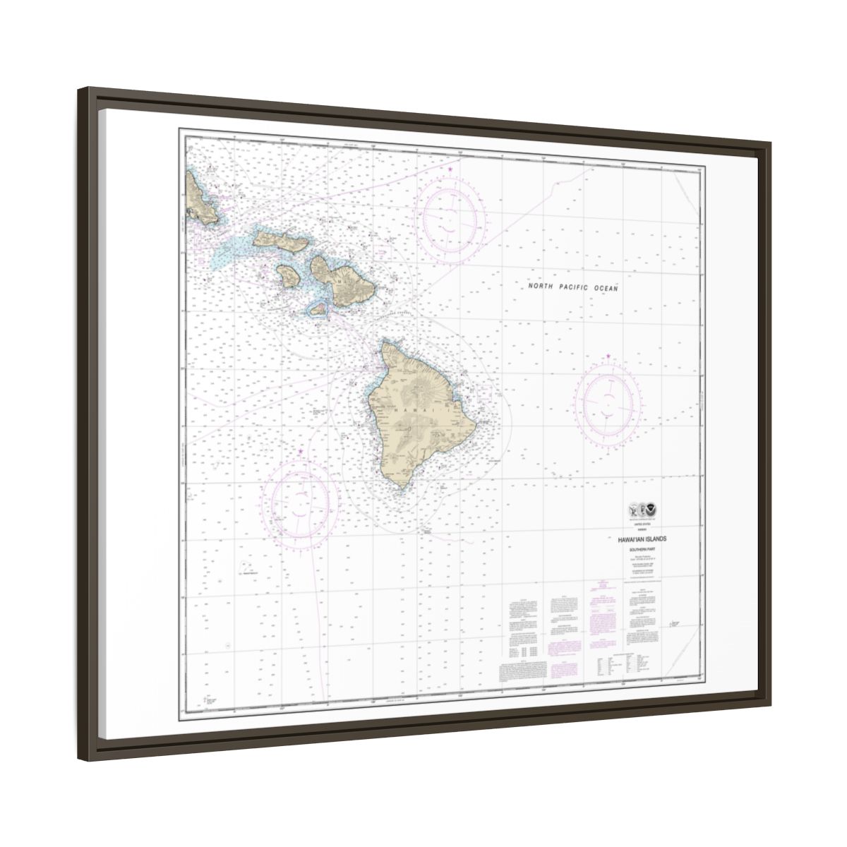 Chart 19010 Hawaiian Islands southern part - NOAA Nautical Chart Floating Frame Canvas | 32" x 24" | 40" x 30" - Espresso side