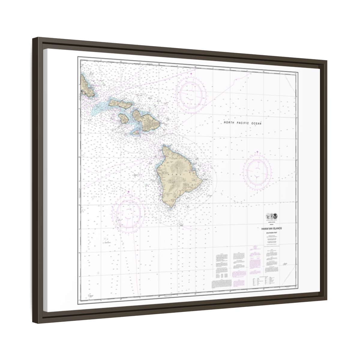 Chart 19010 Hawaiian Islands southern part - NOAA Nautical Chart Floating Frame Canvas | 32" x 24" | 40" x 30" - Espresso side