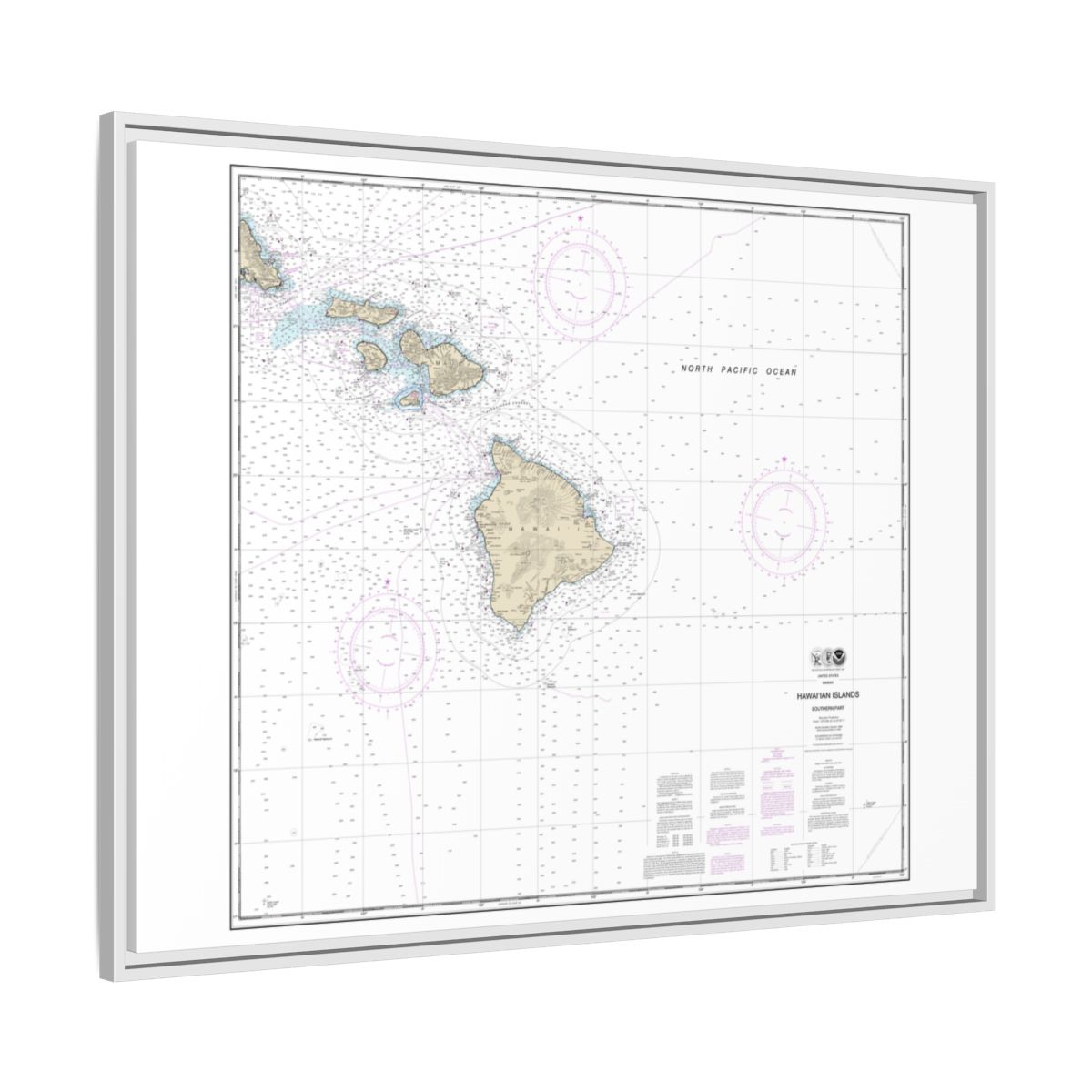 Chart 19010 Hawaiian Islands southern part - NOAA Nautical Chart Floating Frame Canvas | 32" x 24" | 40" x 30" - White side