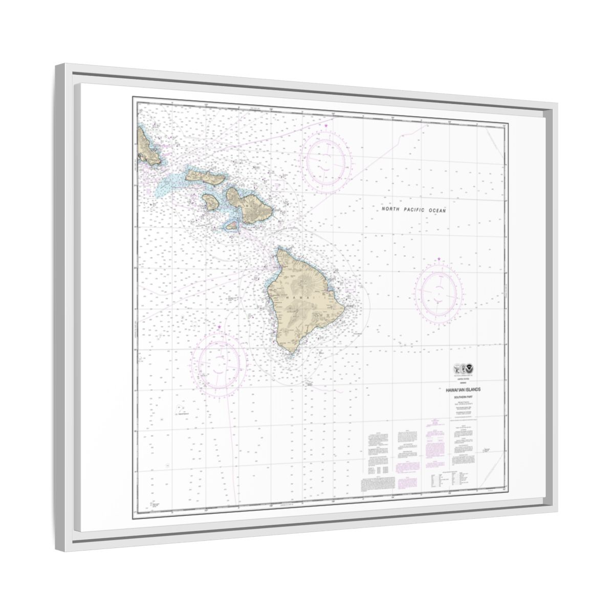 Chart 19010 Hawaiian Islands southern part - NOAA Nautical Chart Floating Frame Canvas | 32" x 24" | 40" x 30" - White side