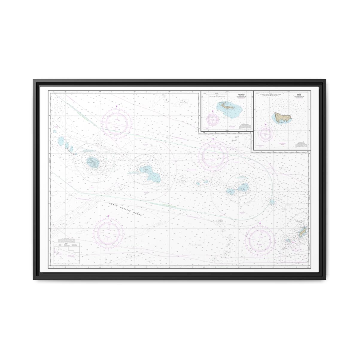 Chart 19016 Niihau to French Frigate Shoals;Necker Island;Nihoa - NOAA Nautical Chart Floating Frame Canvas | 30" x 20" | 36" x 24" | 48" x 32" - Black front