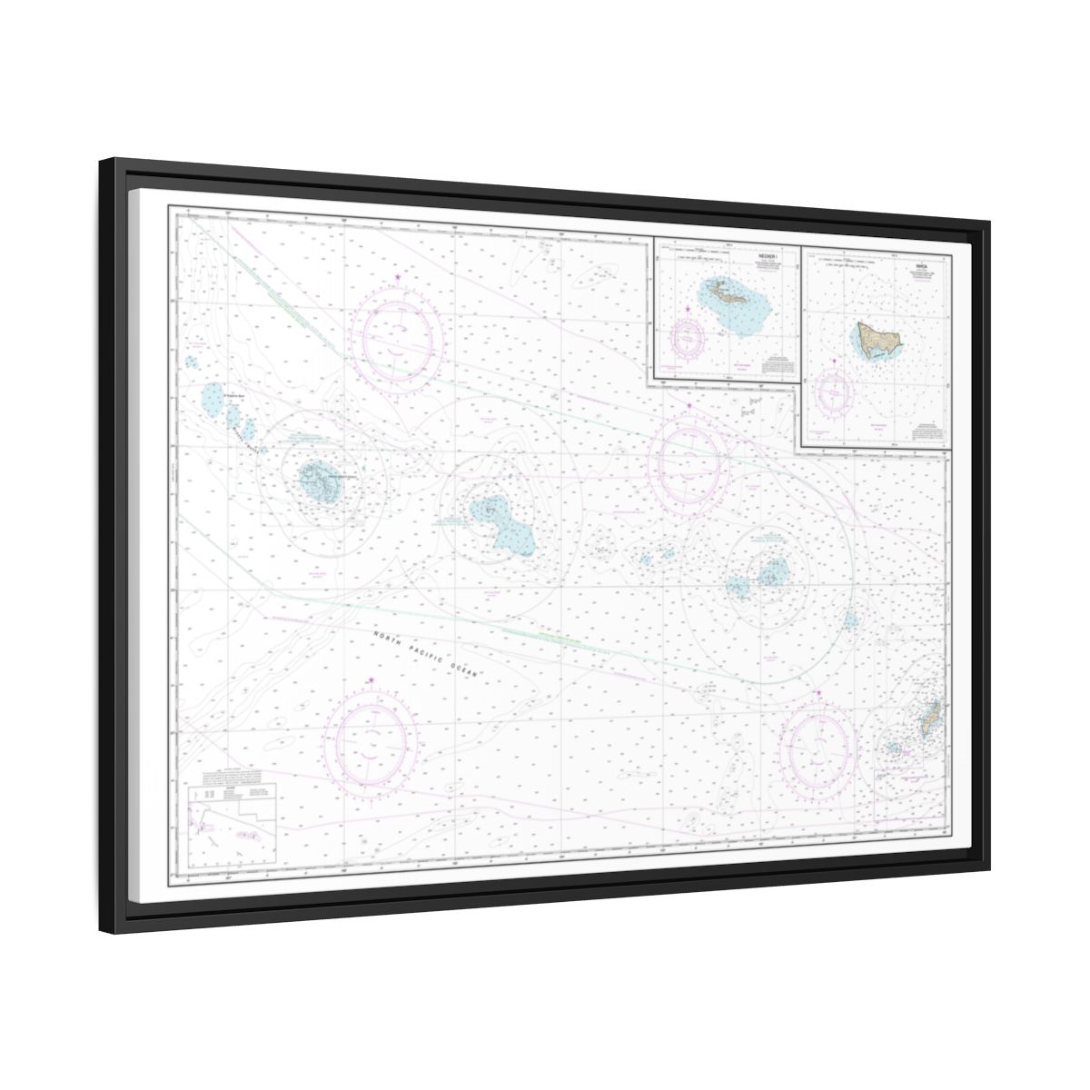 Chart 19016 Niihau to French Frigate Shoals;Necker Island;Nihoa - NOAA Nautical Chart Floating Frame Canvas | 30" x 20" | 36" x 24" | 48" x 32" - Black side