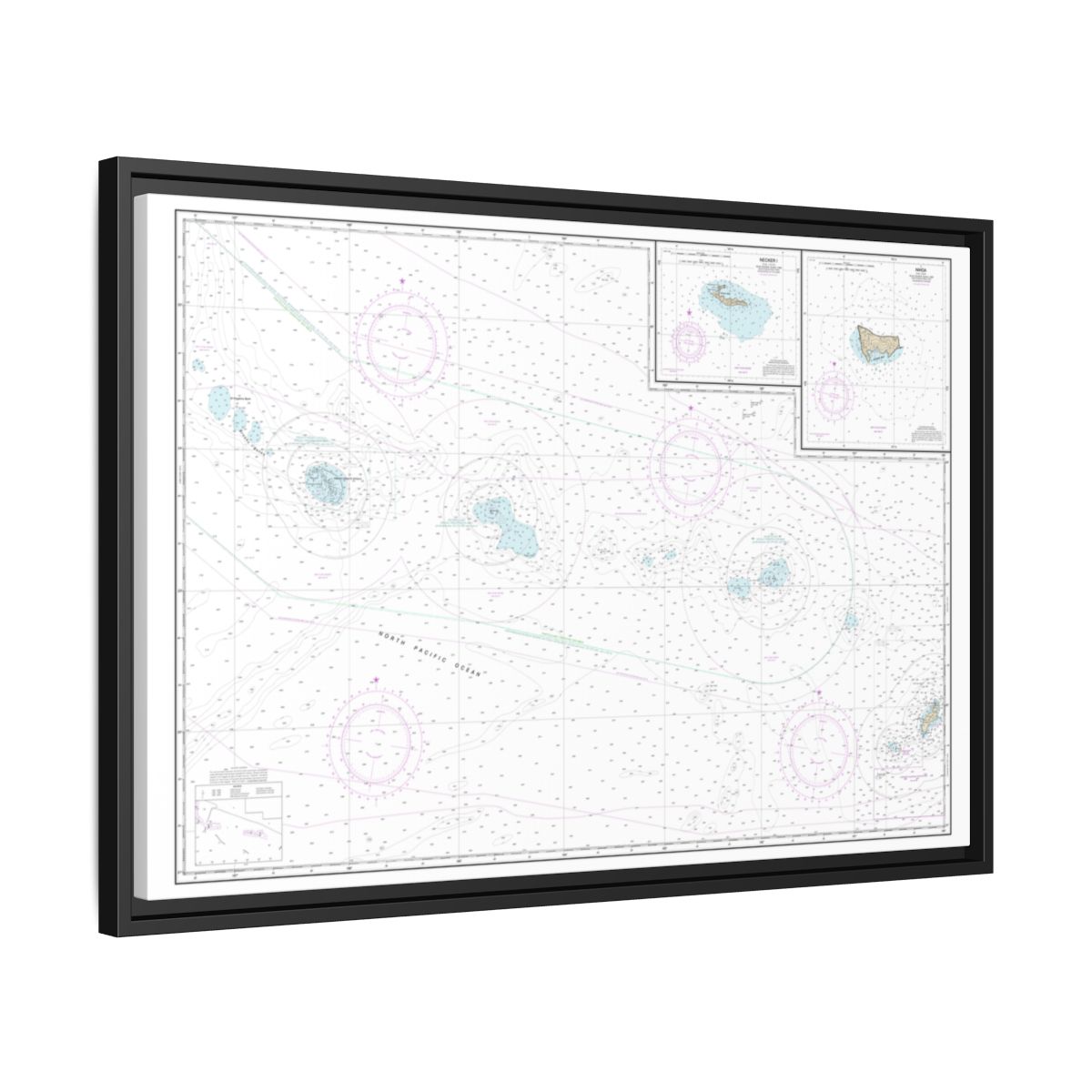 Chart 19016 Niihau to French Frigate Shoals;Necker Island;Nihoa - NOAA Nautical Chart Floating Frame Canvas | 30" x 20" | 36" x 24" | 48" x 32" - Black side