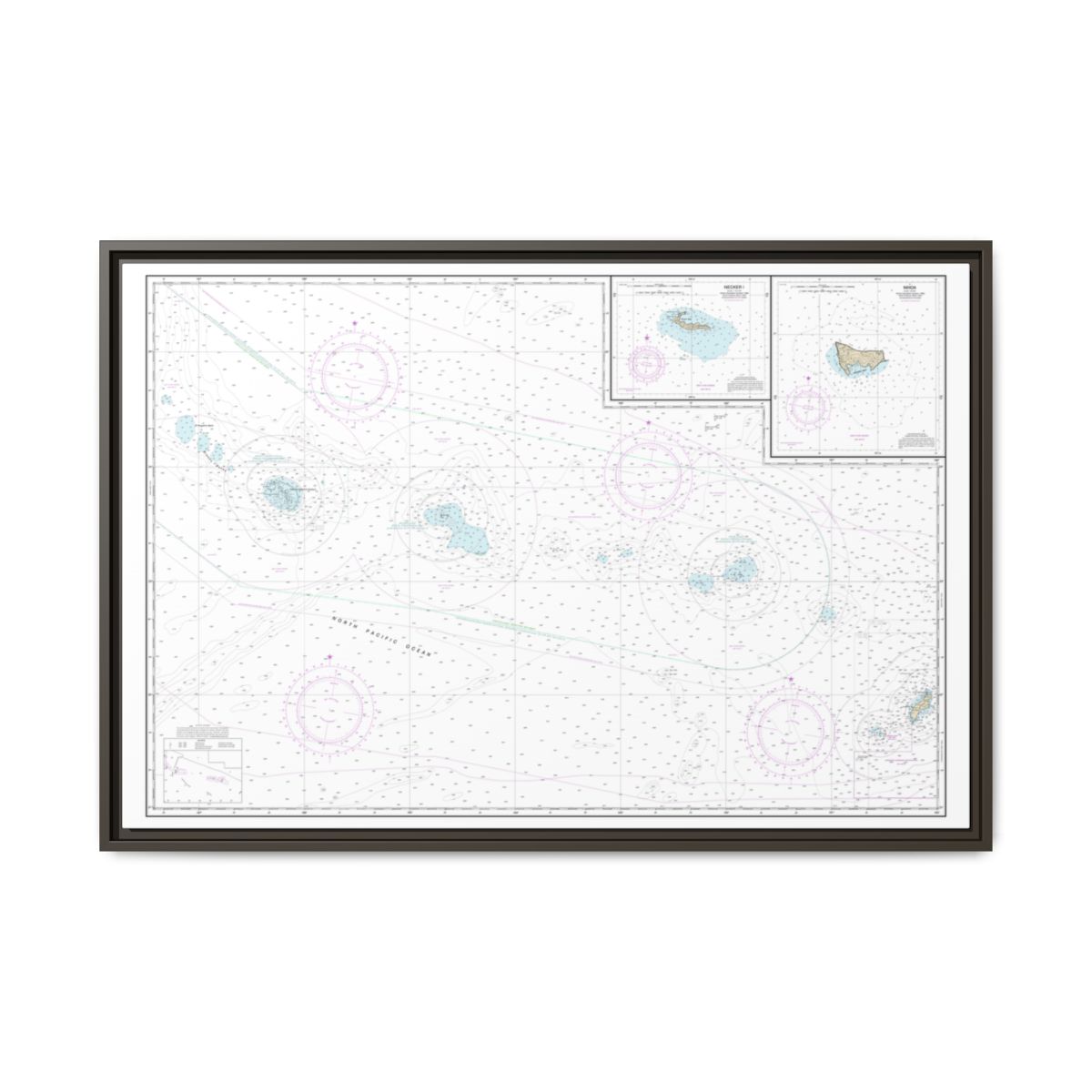 Chart 19016 Niihau to French Frigate Shoals;Necker Island;Nihoa - NOAA Nautical Chart Floating Frame Canvas | 30" x 20" | 36" x 24" | 48" x 32" - Espresso front