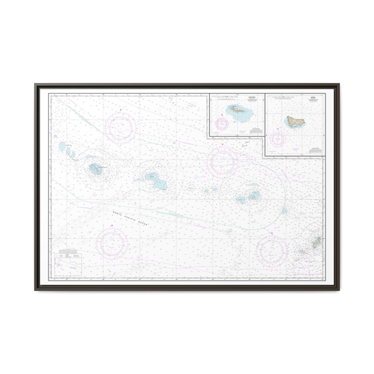Chart 19016 Niihau to French Frigate Shoals;Necker Island;Nihoa - NOAA Nautical Chart Floating Frame Canvas | 30" x 20" | 36" x 24" | 48" x 32" - Espresso front