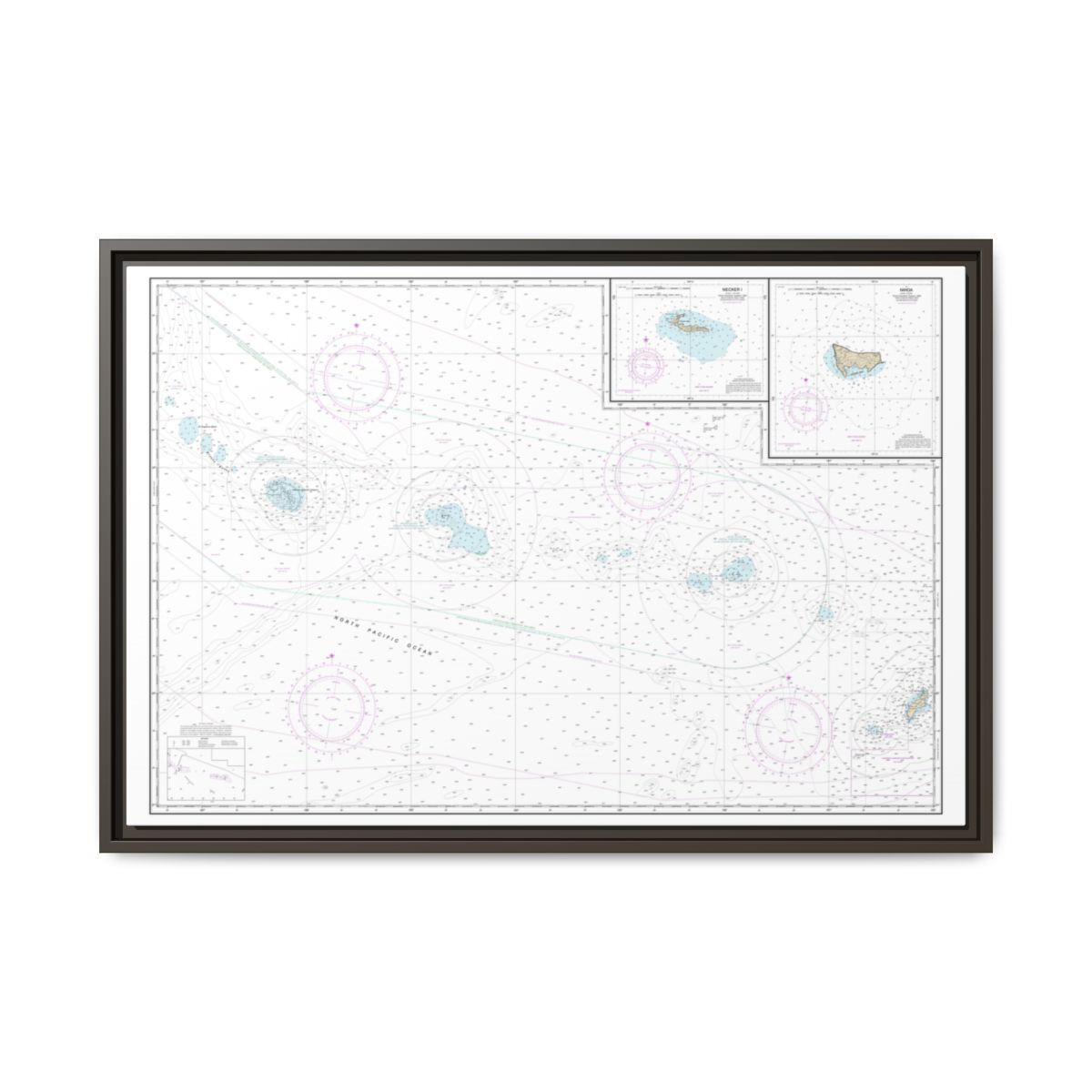 Chart 19016 Niihau to French Frigate Shoals;Necker Island;Nihoa - NOAA Nautical Chart Floating Frame Canvas | 30" x 20" | 36" x 24" | 48" x 32" - Espresso front