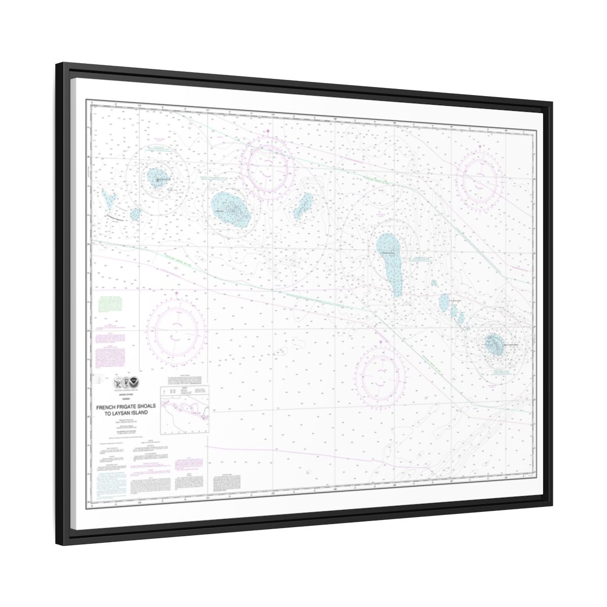 Chart 19019 French Frigate Shoals to Laysan Island - NOAA Nautical Chart Floating Frame Canvas | 32" x 24" | 40" x 30" - Black side