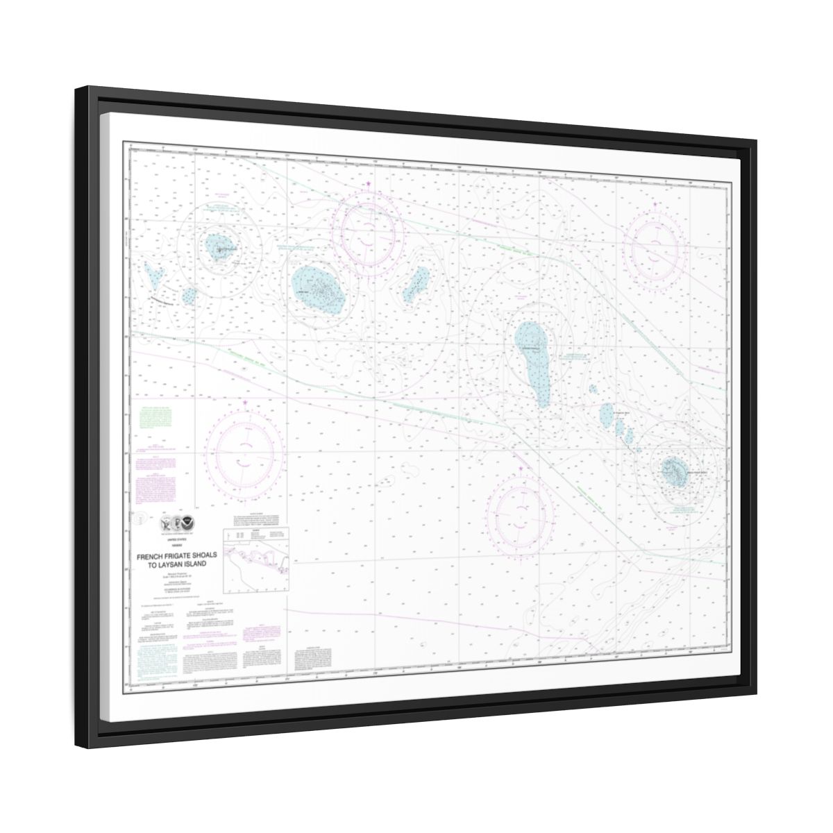 Chart 19019 French Frigate Shoals to Laysan Island - NOAA Nautical Chart Floating Frame Canvas | 32" x 24" | 40" x 30" - Black side