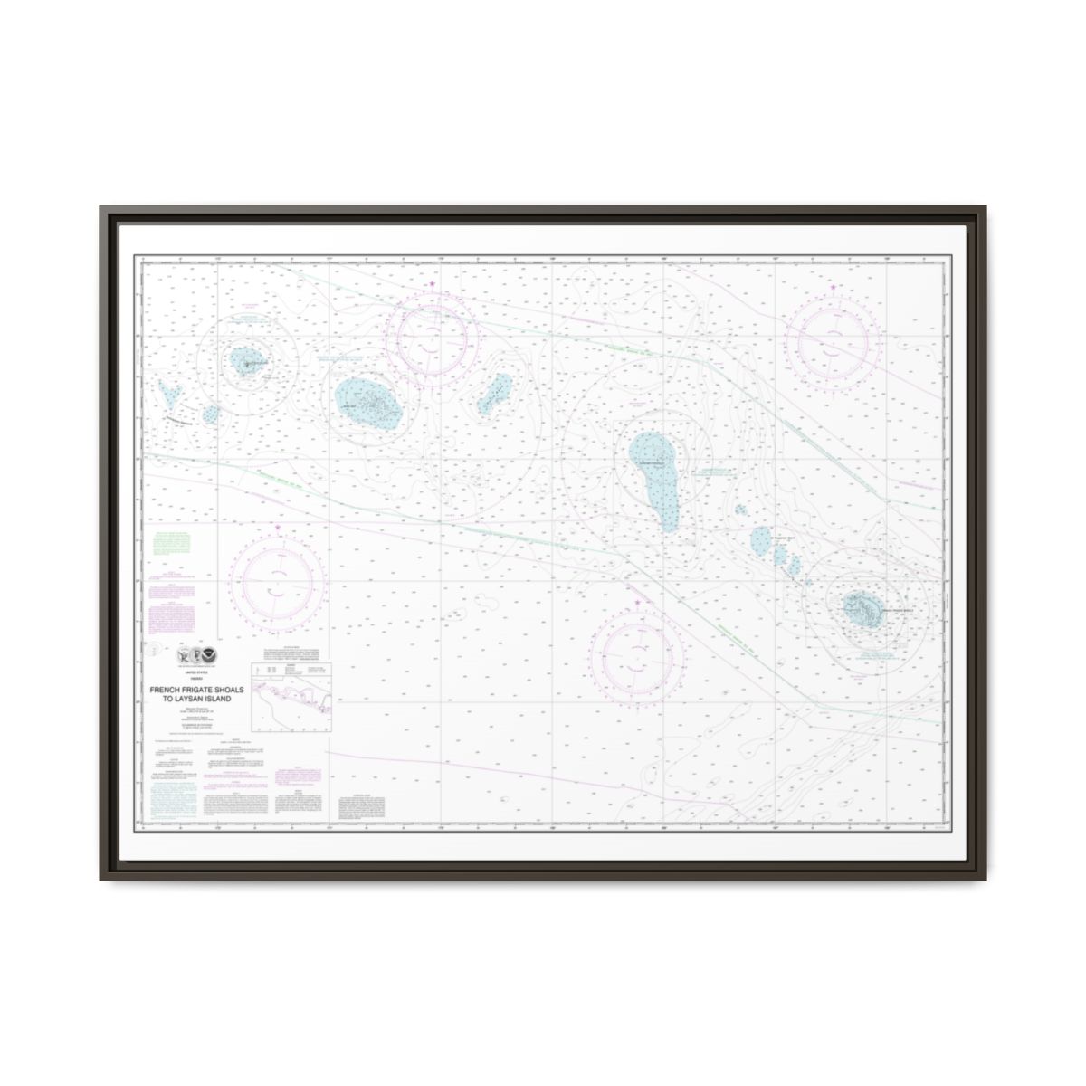 Chart 19019 French Frigate Shoals to Laysan Island - NOAA Nautical Chart Floating Frame Canvas | 32" x 24" | 40" x 30" - Espresso front