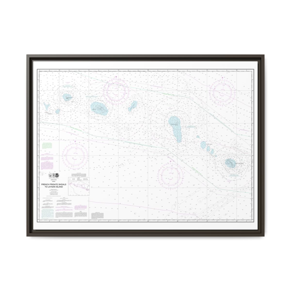Chart 19019 French Frigate Shoals to Laysan Island - NOAA Nautical Chart Floating Frame Canvas | 32" x 24" | 40" x 30" - Espresso front