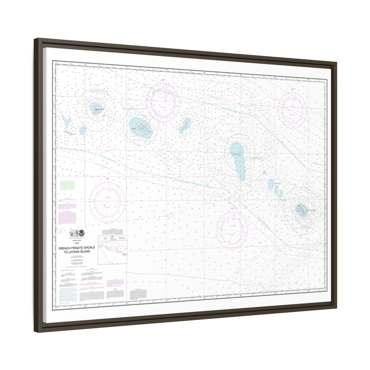Chart 19019 French Frigate Shoals to Laysan Island - NOAA Nautical Chart Floating Frame Canvas | 32" x 24" | 40" x 30" - Espresso side