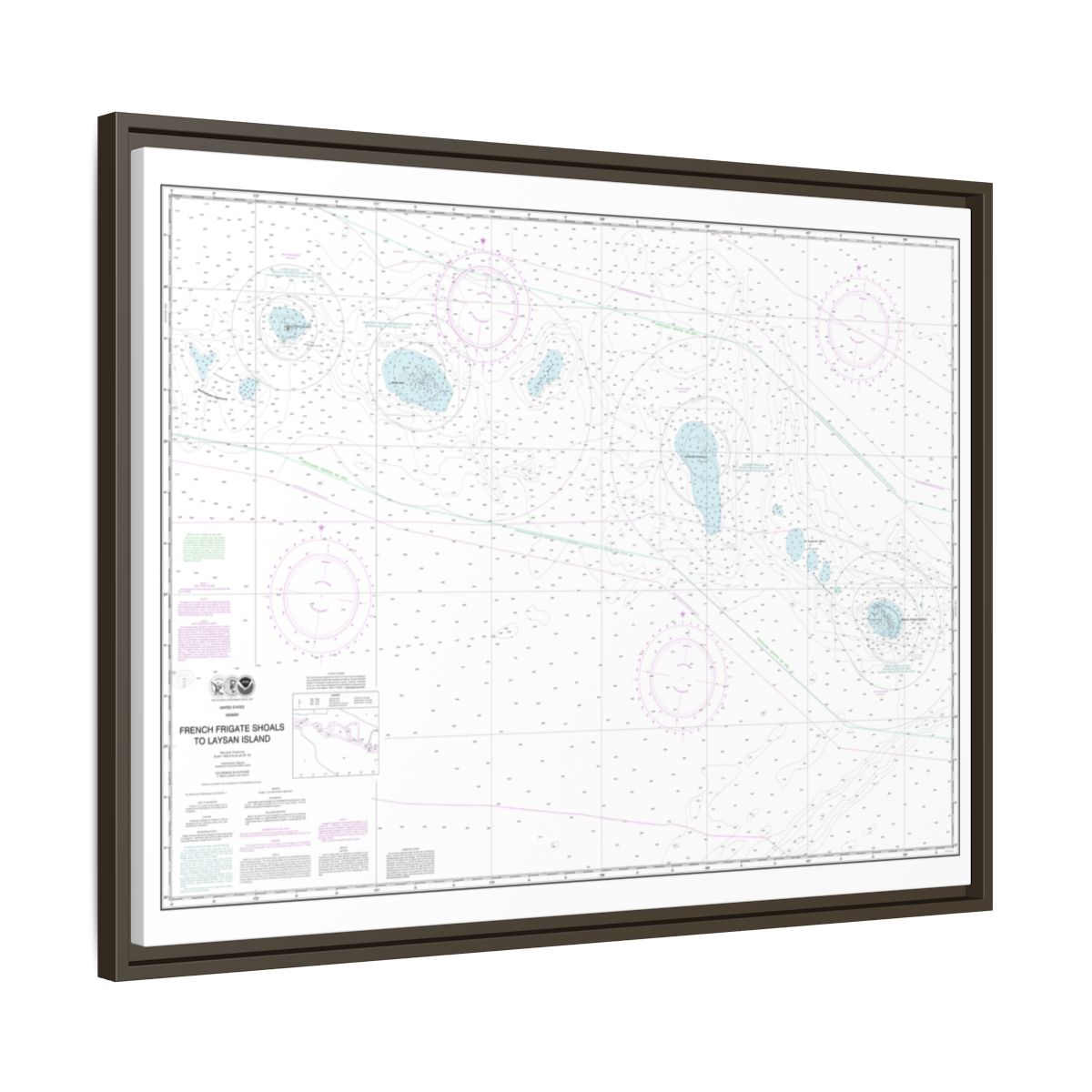 Chart 19019 French Frigate Shoals to Laysan Island - NOAA Nautical Chart Floating Frame Canvas | 32" x 24" | 40" x 30" - Espresso side