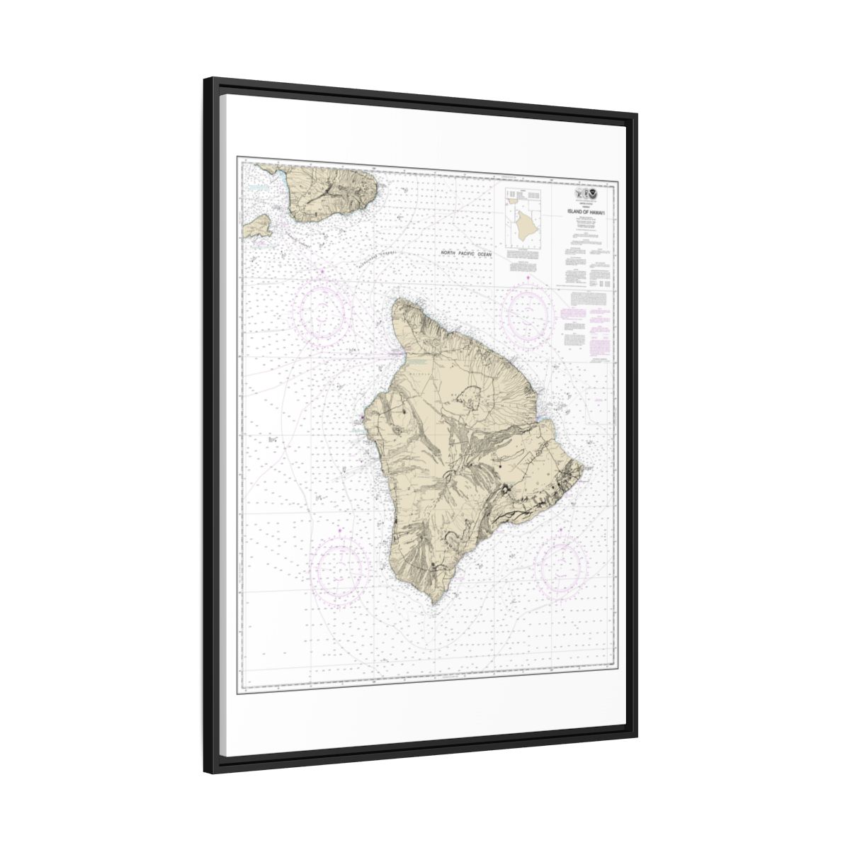 Chart 19320 Island Of Hawaii - NOAA Nautical Chart Floating Frame Canvas | 24" x 32" | 30" x 40" - Black side