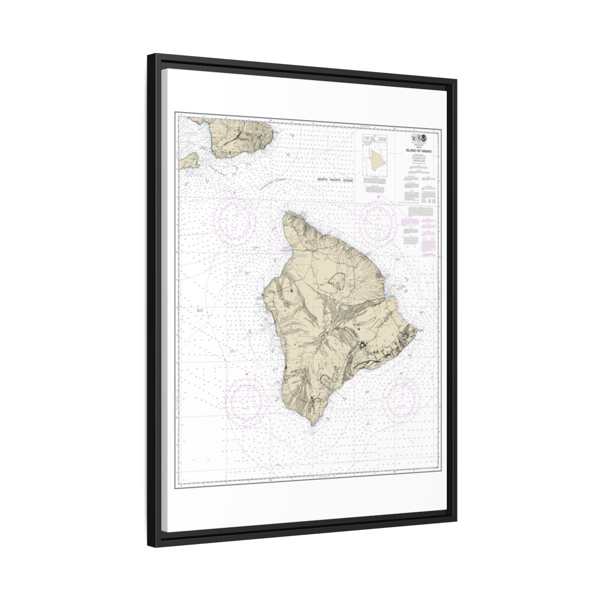 Chart 19320 Island Of Hawaii - NOAA Nautical Chart Floating Frame Canvas | 24" x 32" | 30" x 40" - Black side