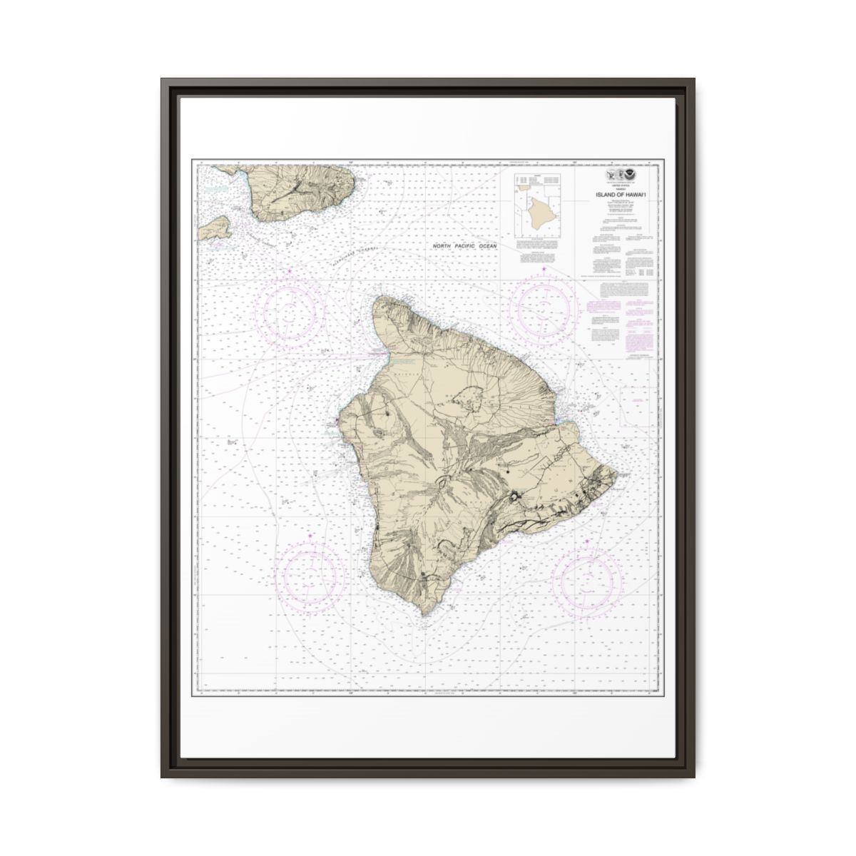 Chart 19320 Island Of Hawaii - NOAA Nautical Chart Floating Frame Canvas | 24" x 32" | 30" x 40" - Espresso front