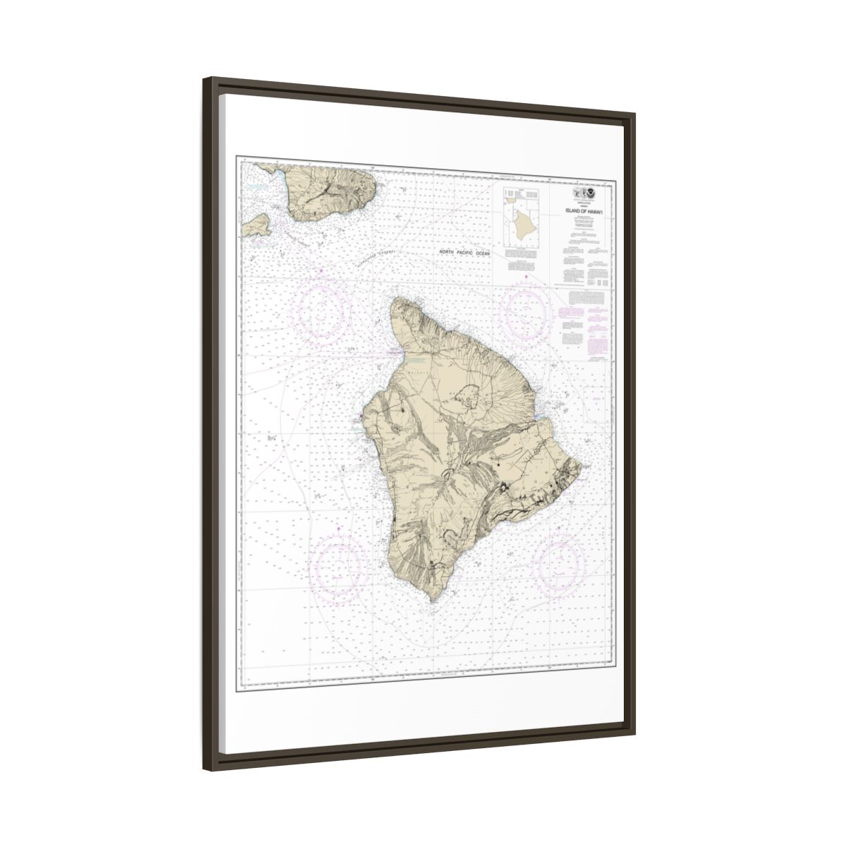 Chart 19320 Island Of Hawaii - NOAA Nautical Chart Floating Frame Canvas | 24" x 32" | 30" x 40" - Espresso side