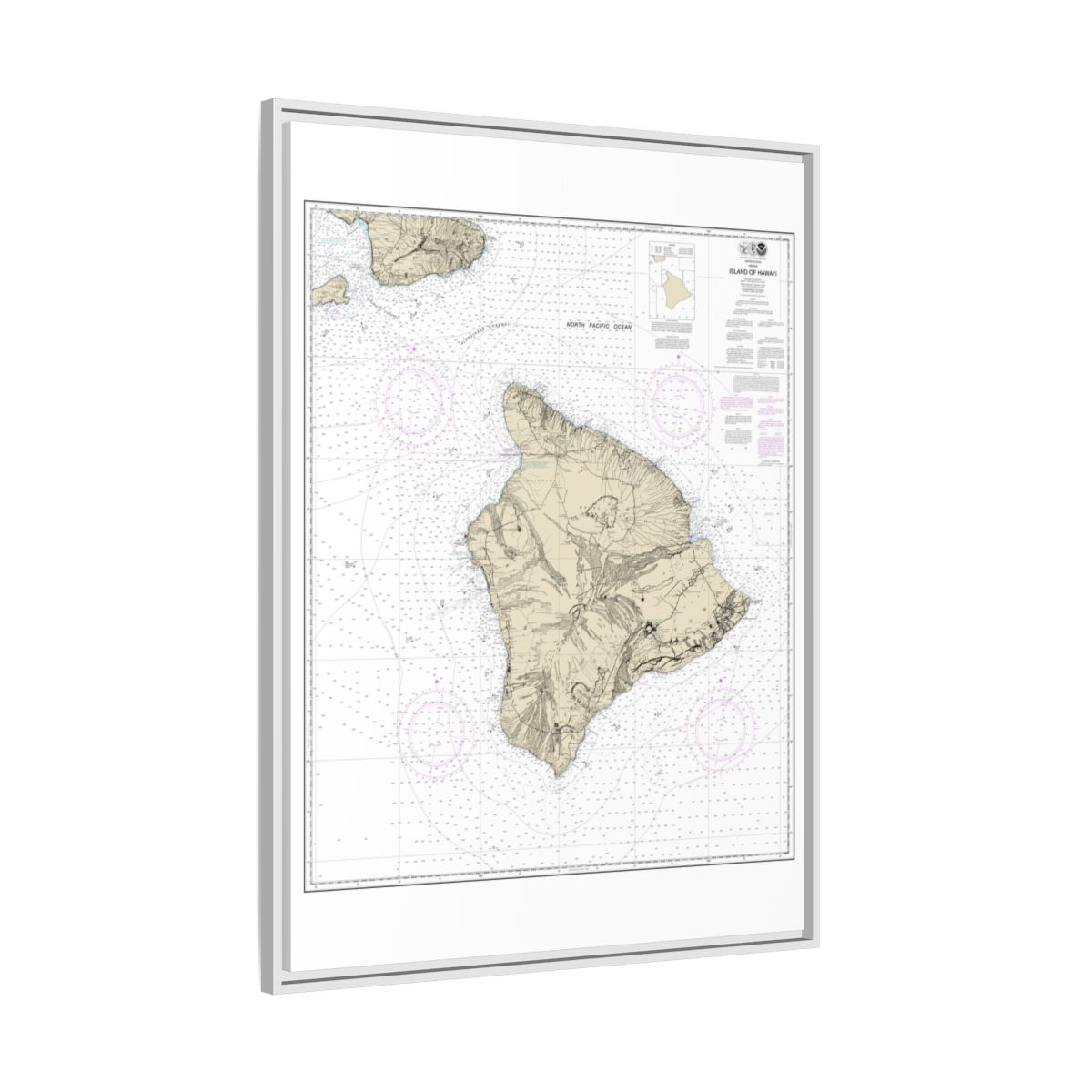 Chart 19320 Island Of Hawaii - NOAA Nautical Chart Floating Frame Canvas | 24" x 32" | 30" x 40" - White side